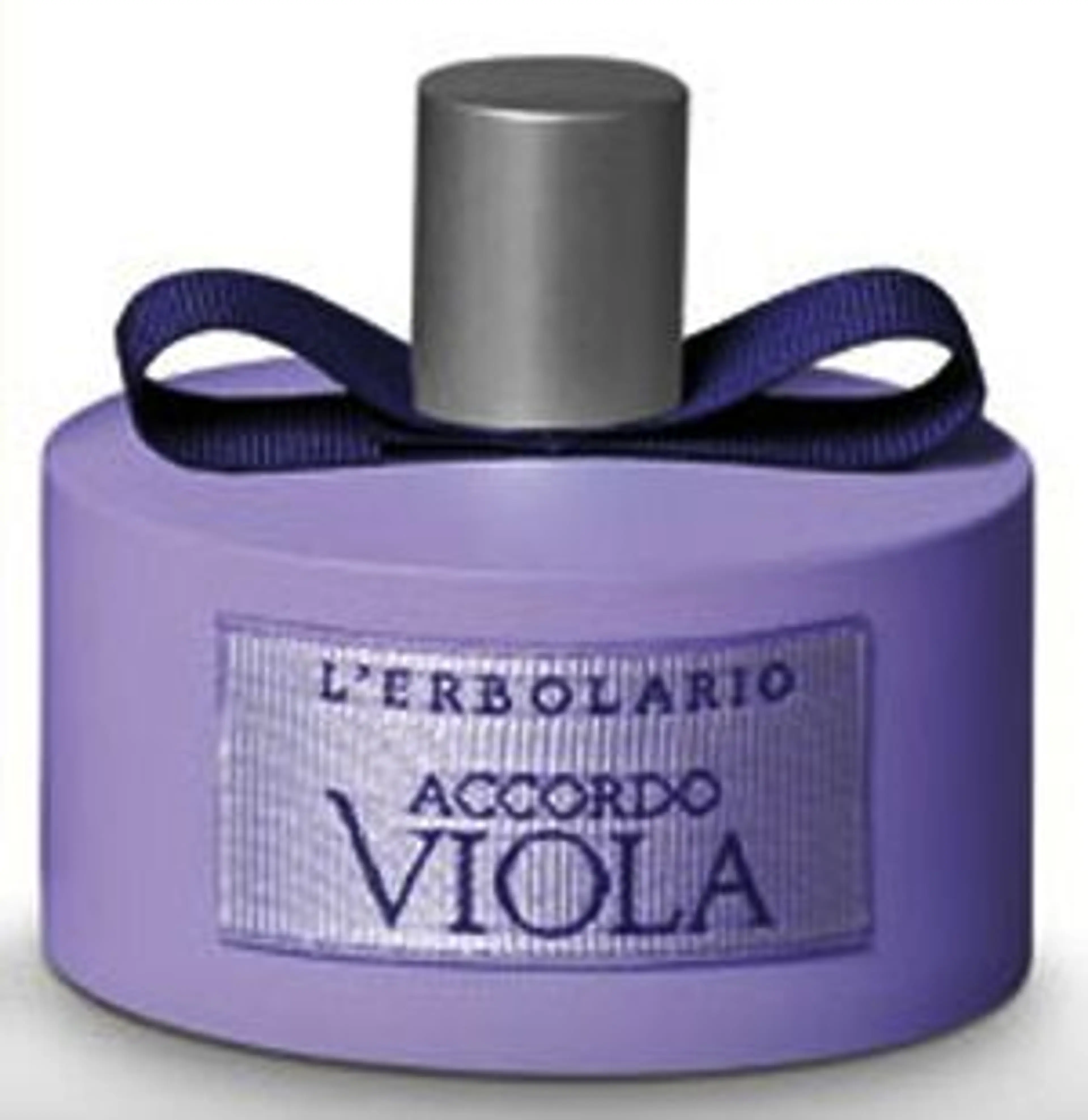 Accordo Viola