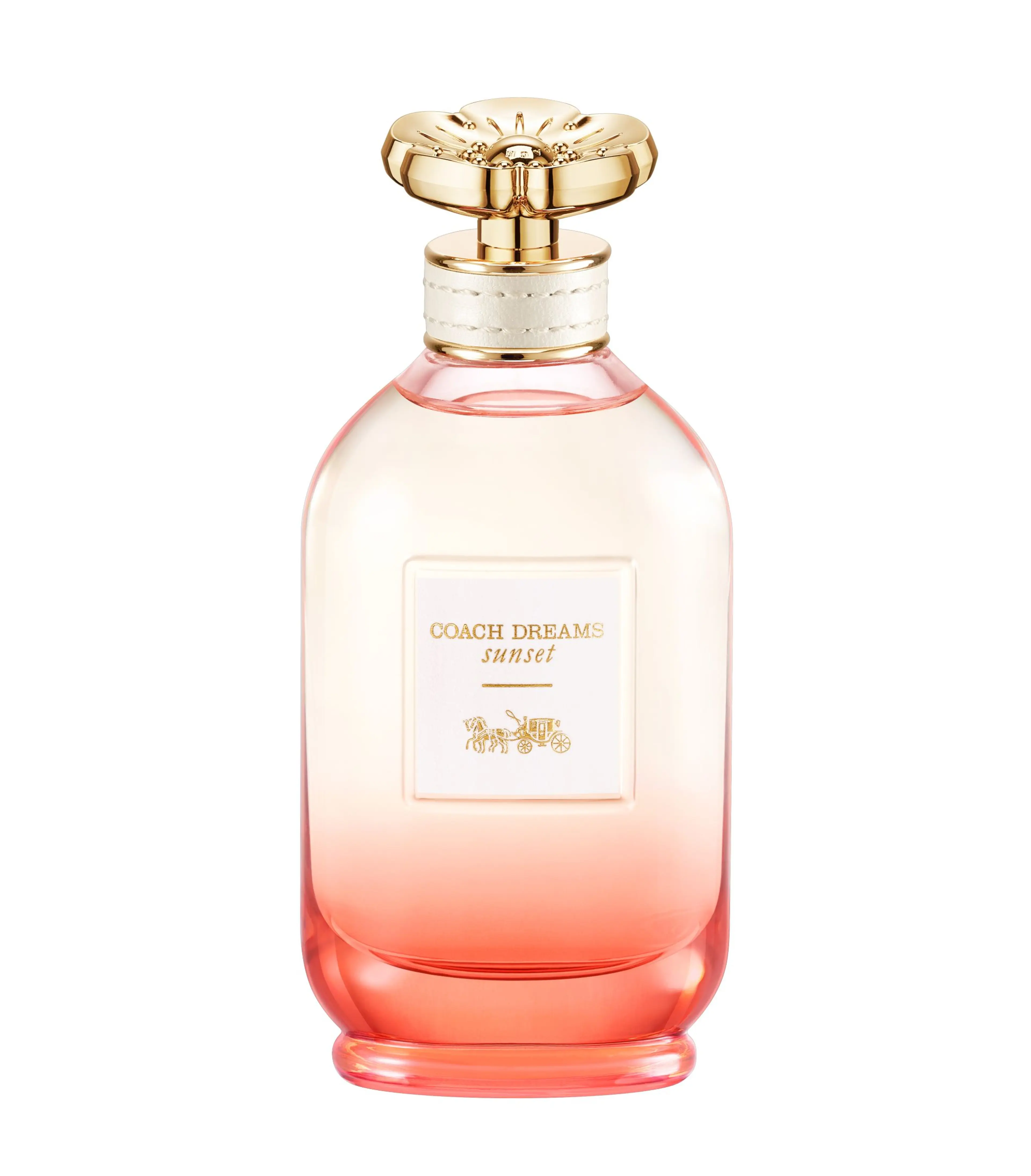 Coach Dreams Sunset