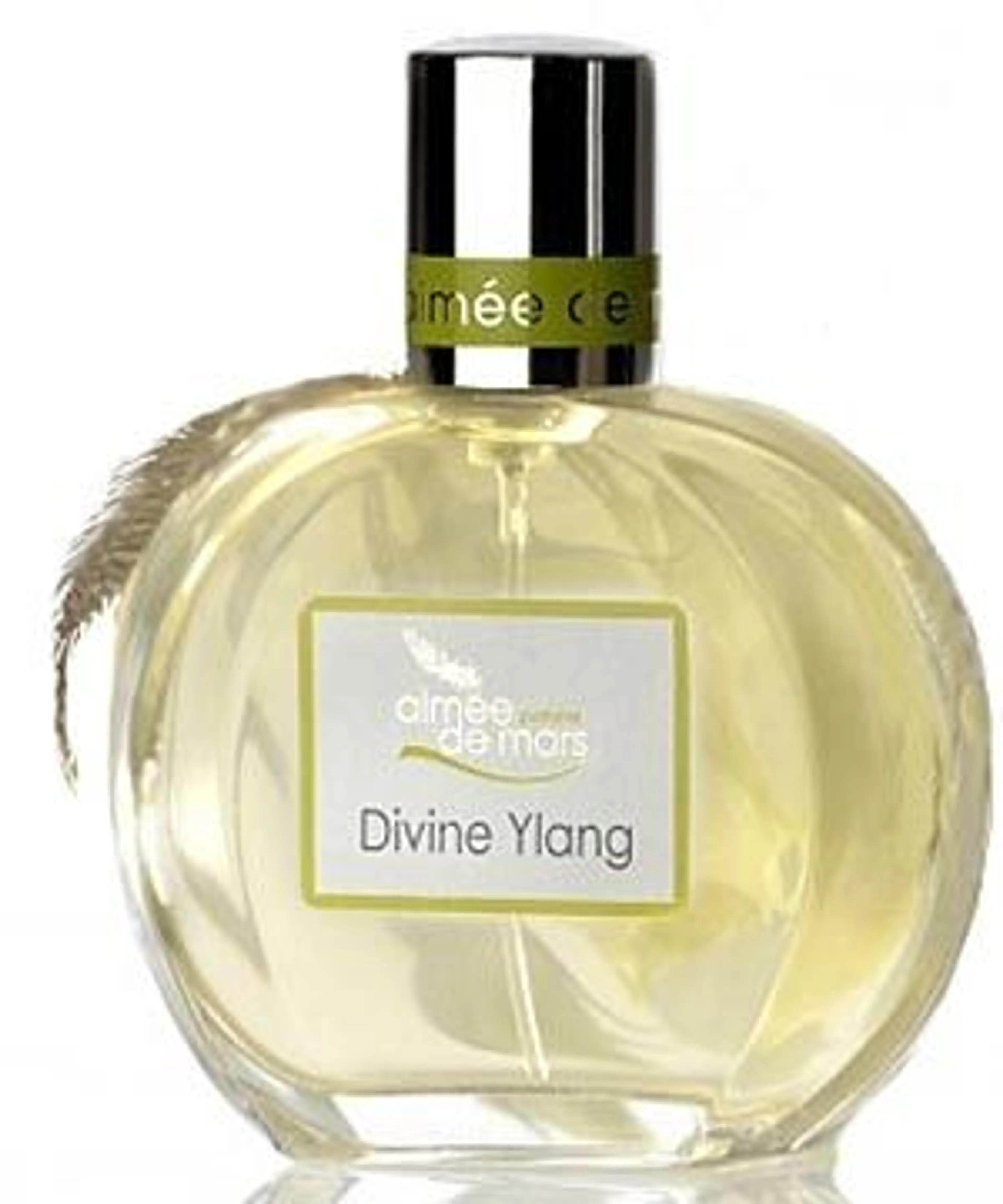 Divine Ylang