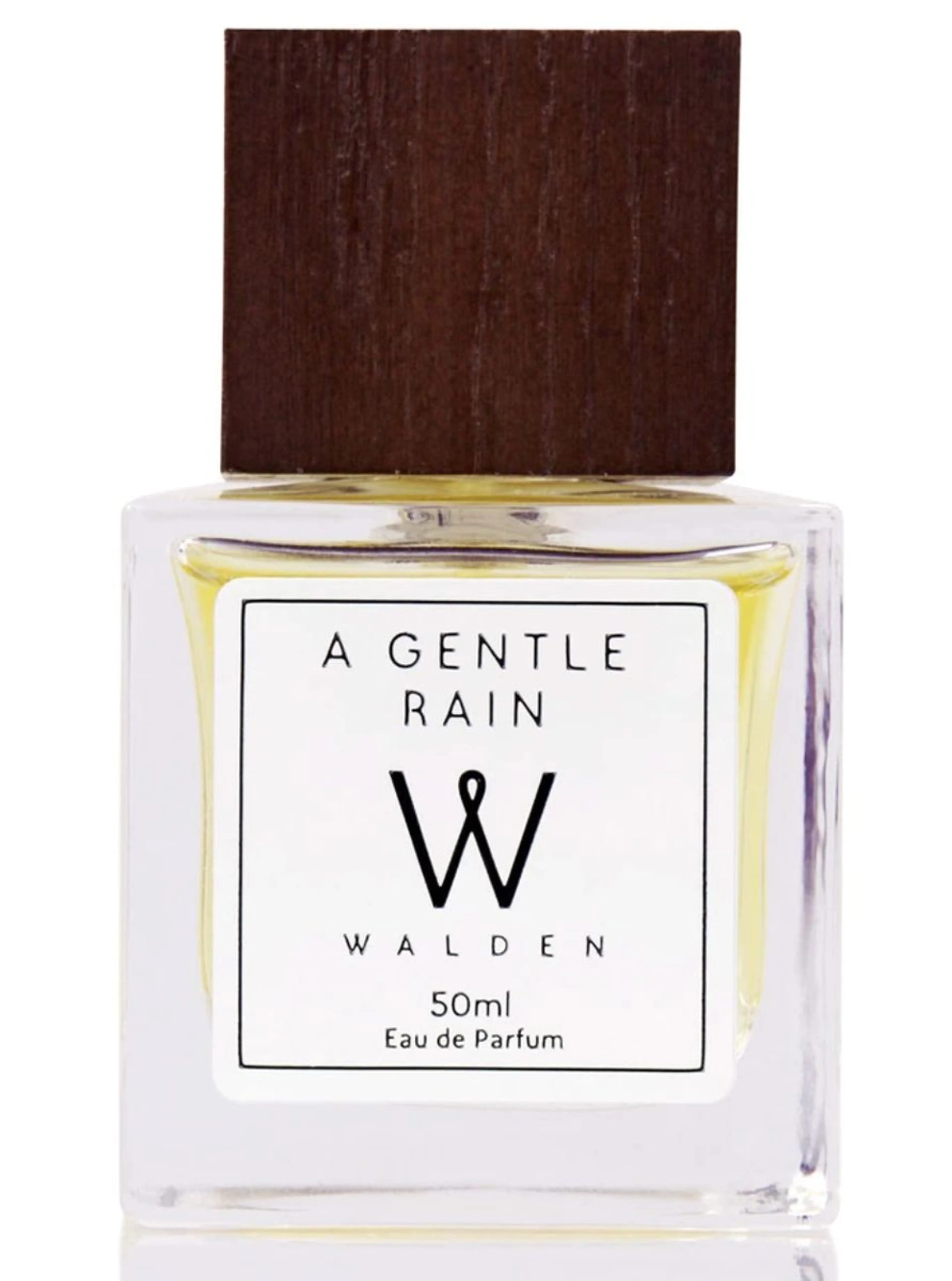 A Gentle Rain
