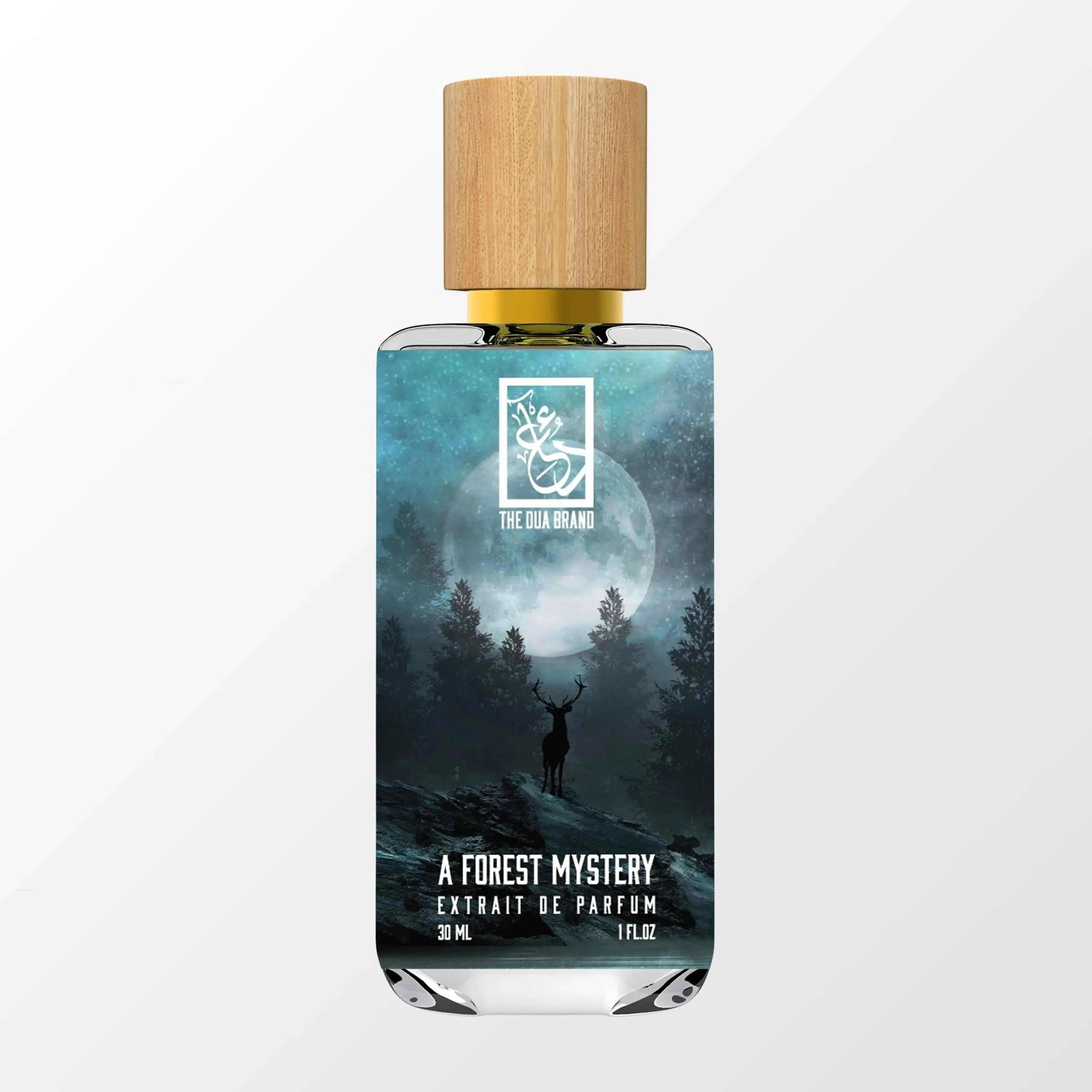 A Forest Mystery