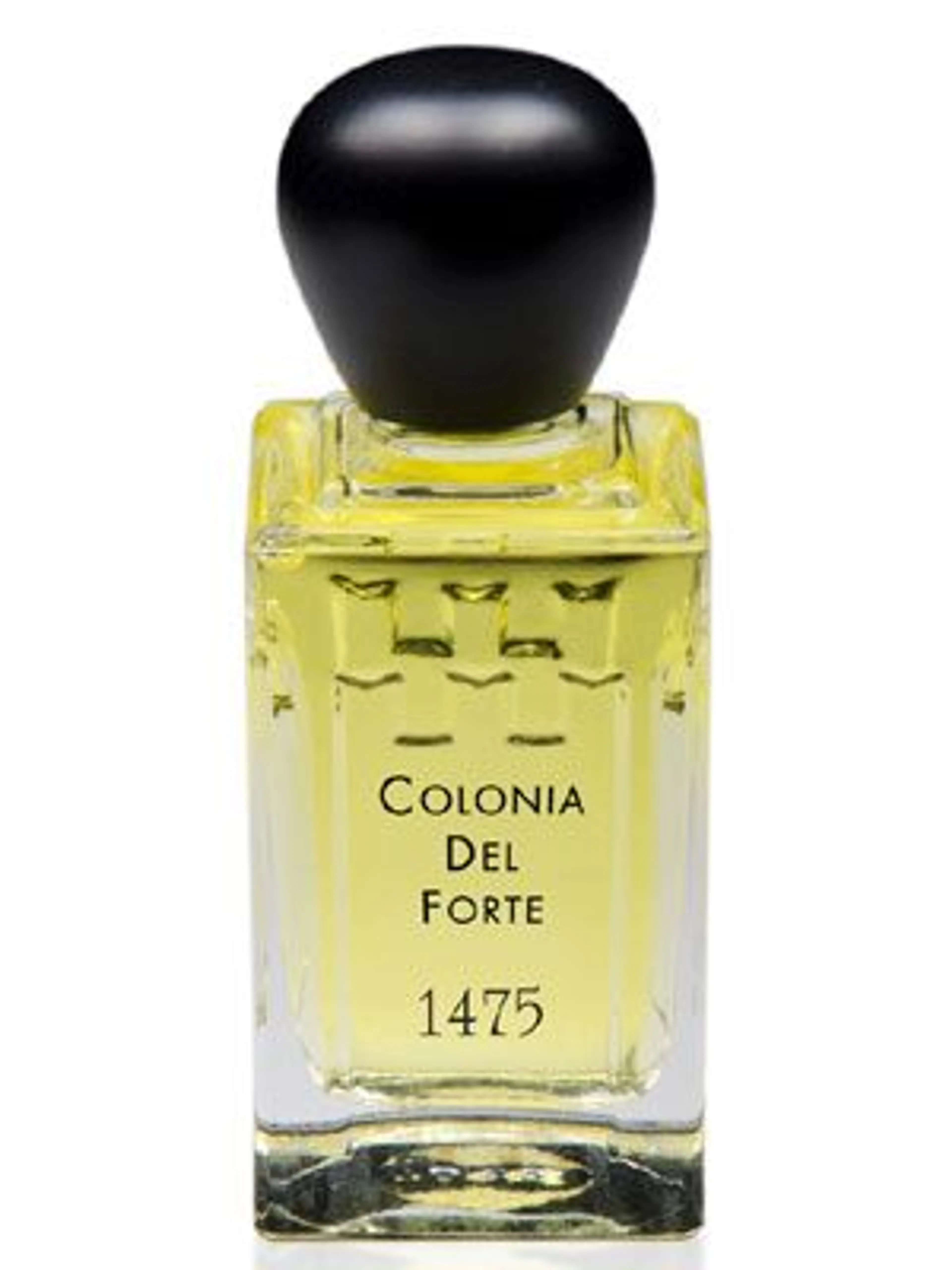 Colonia del Forte 1475