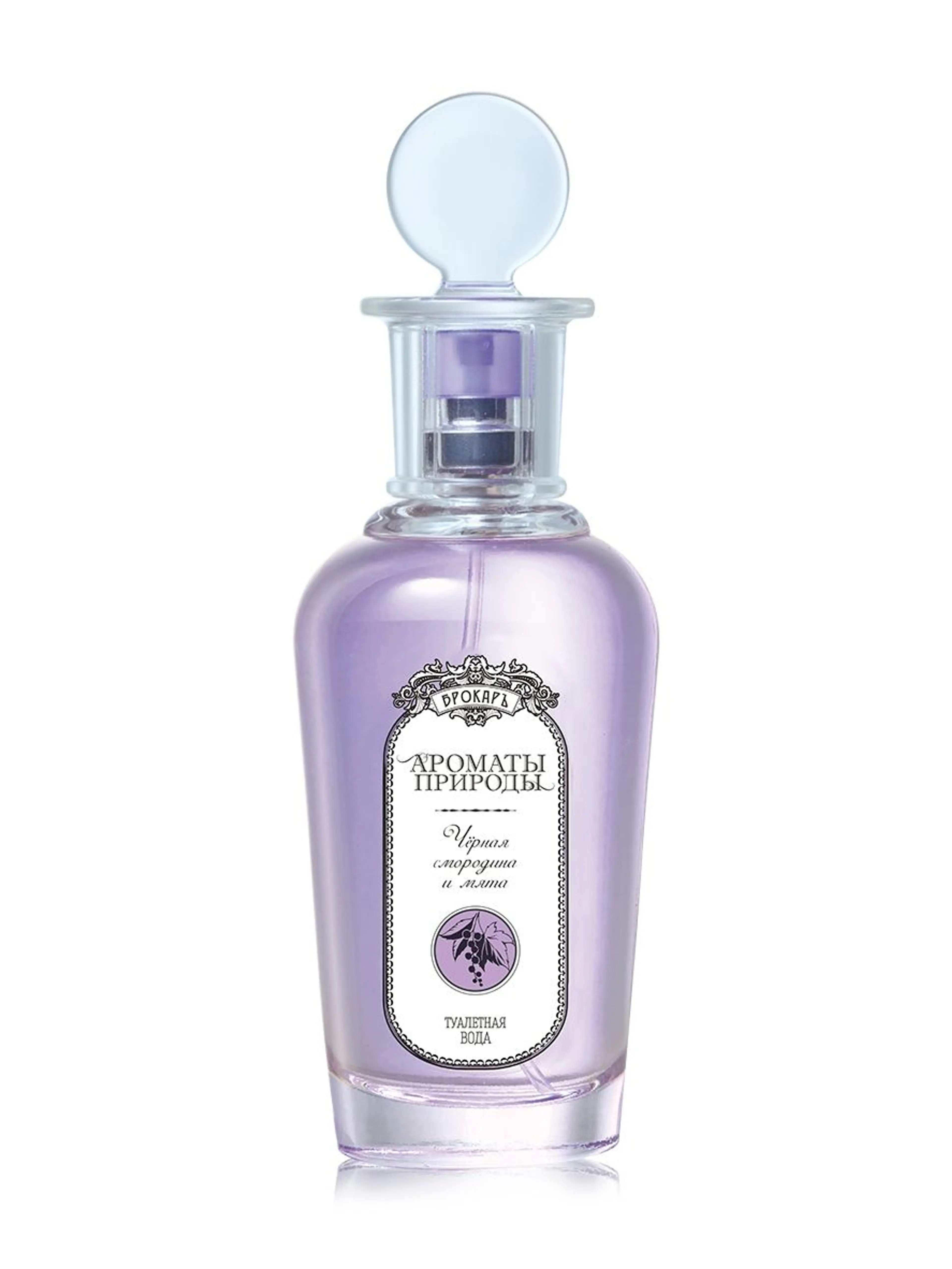 Черная смородина и мята - Black currant and Mint
