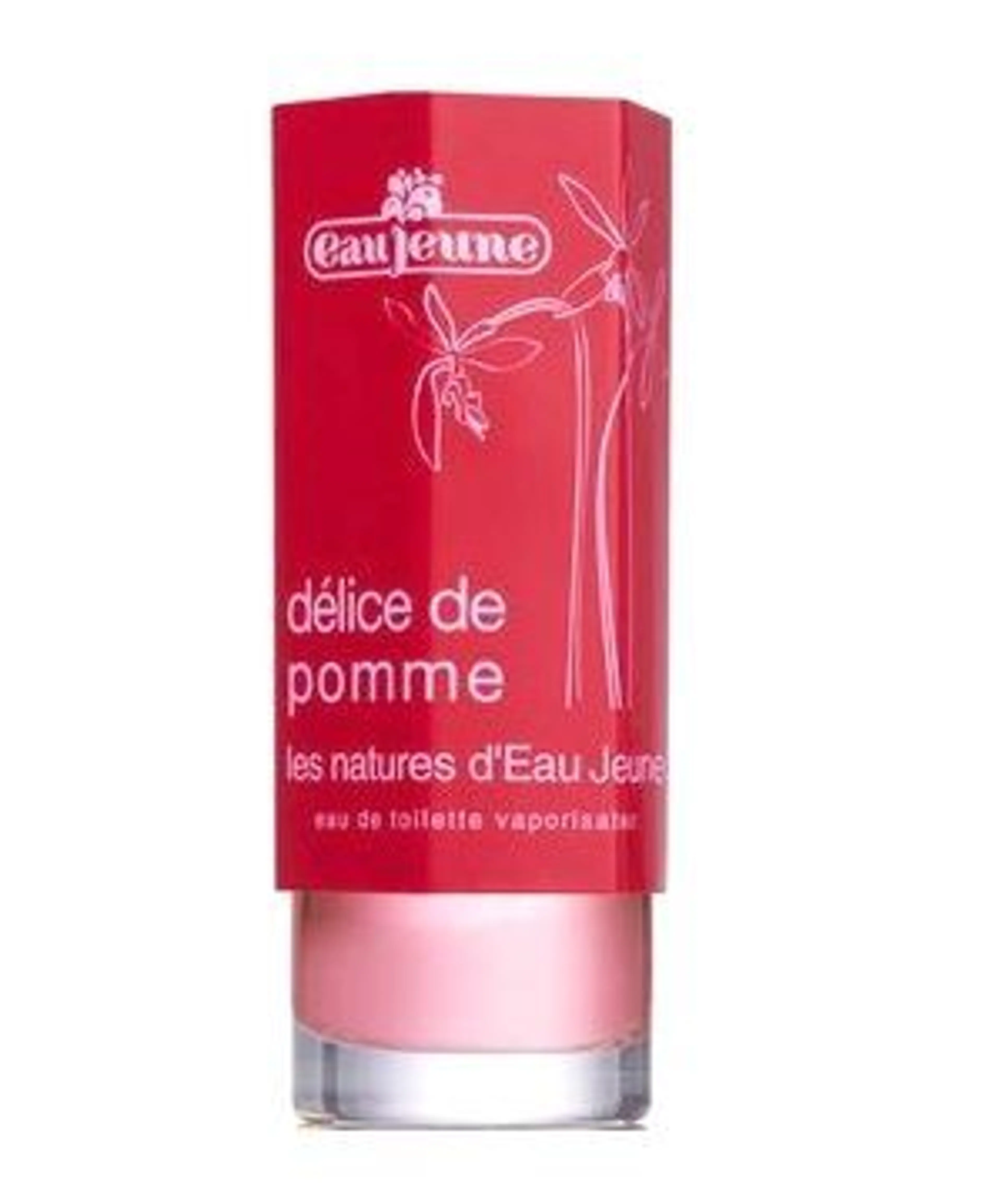 Delice de Pomme