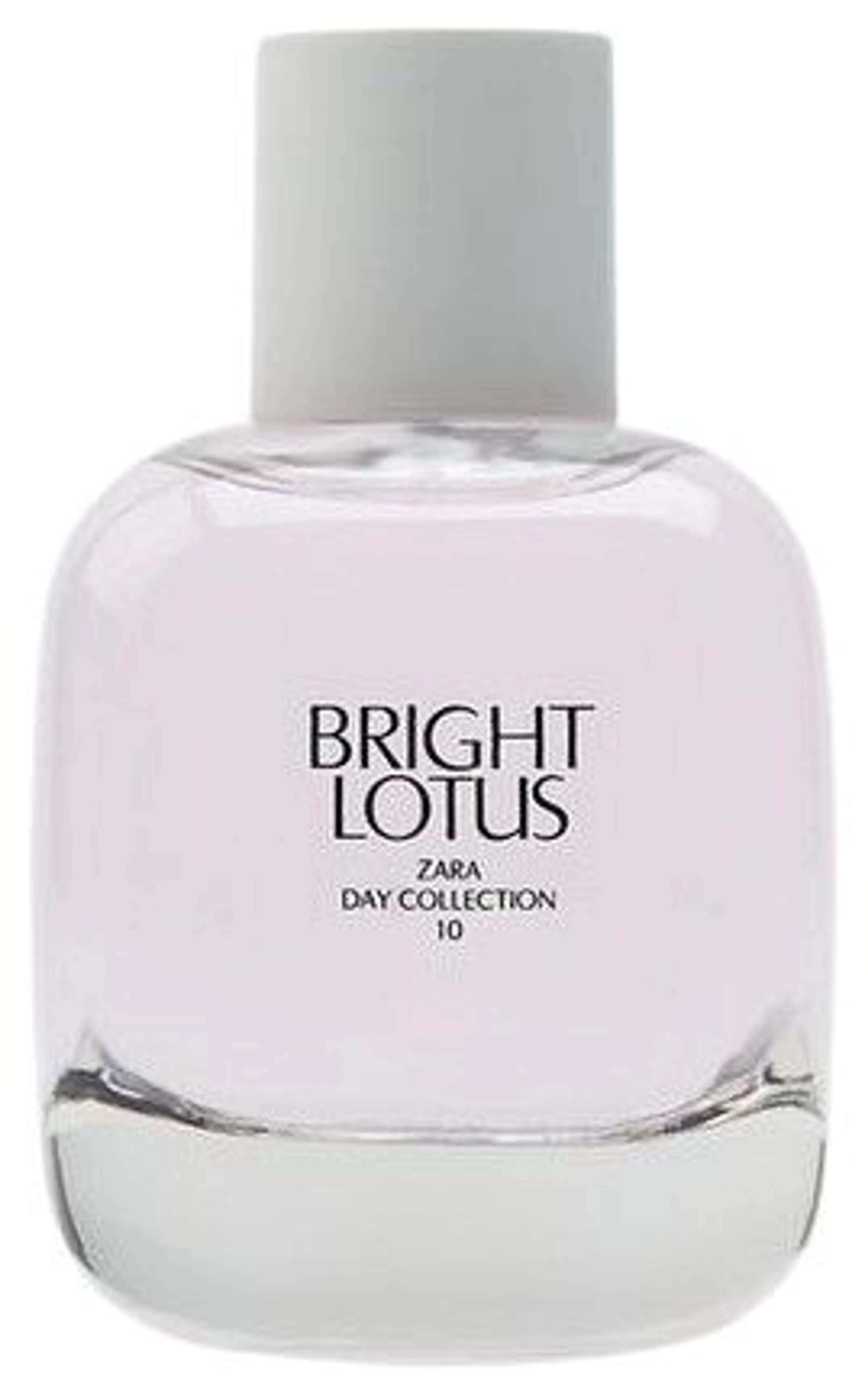 Bright Lotus