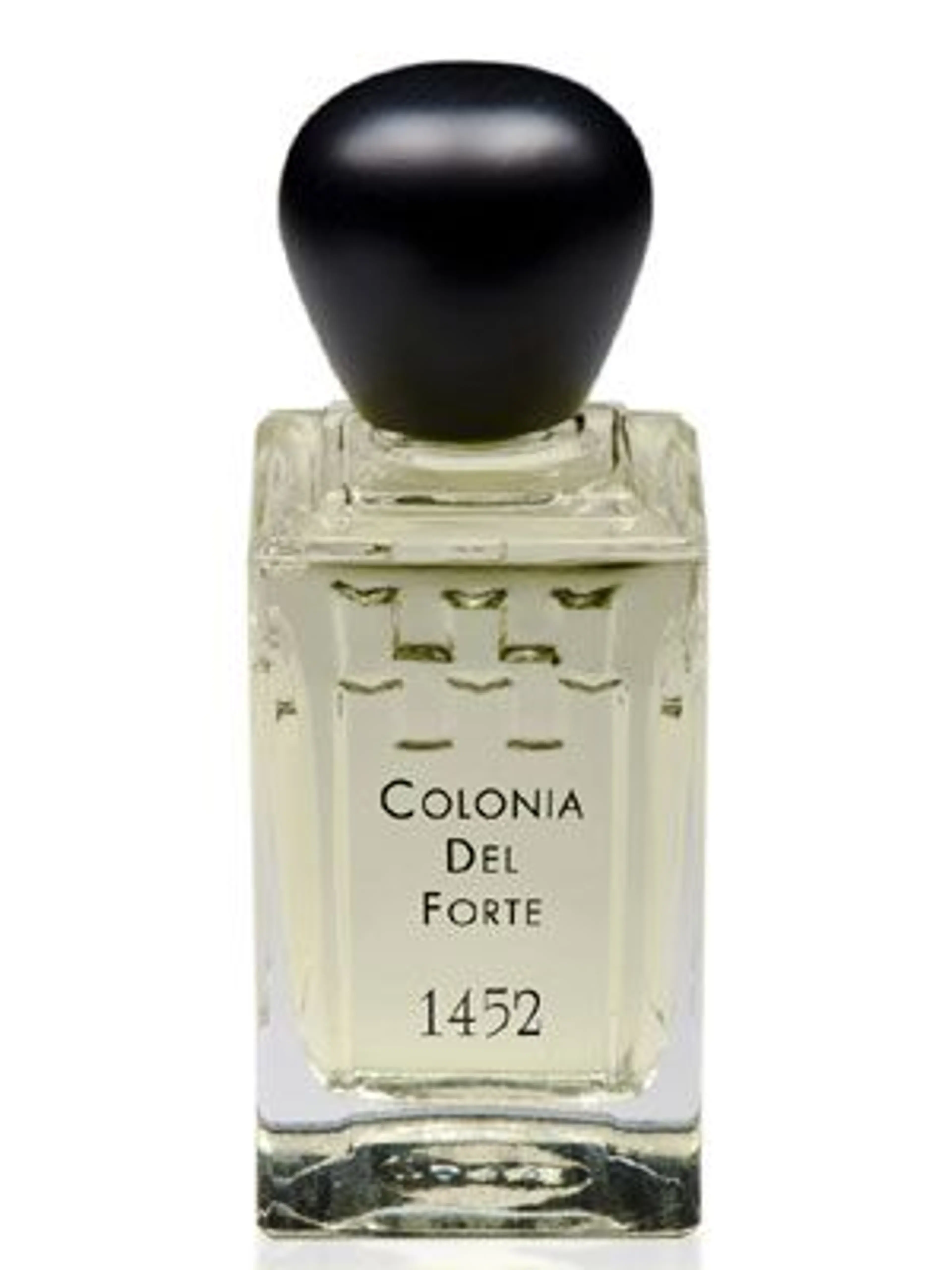 Colonia del Forte 1452