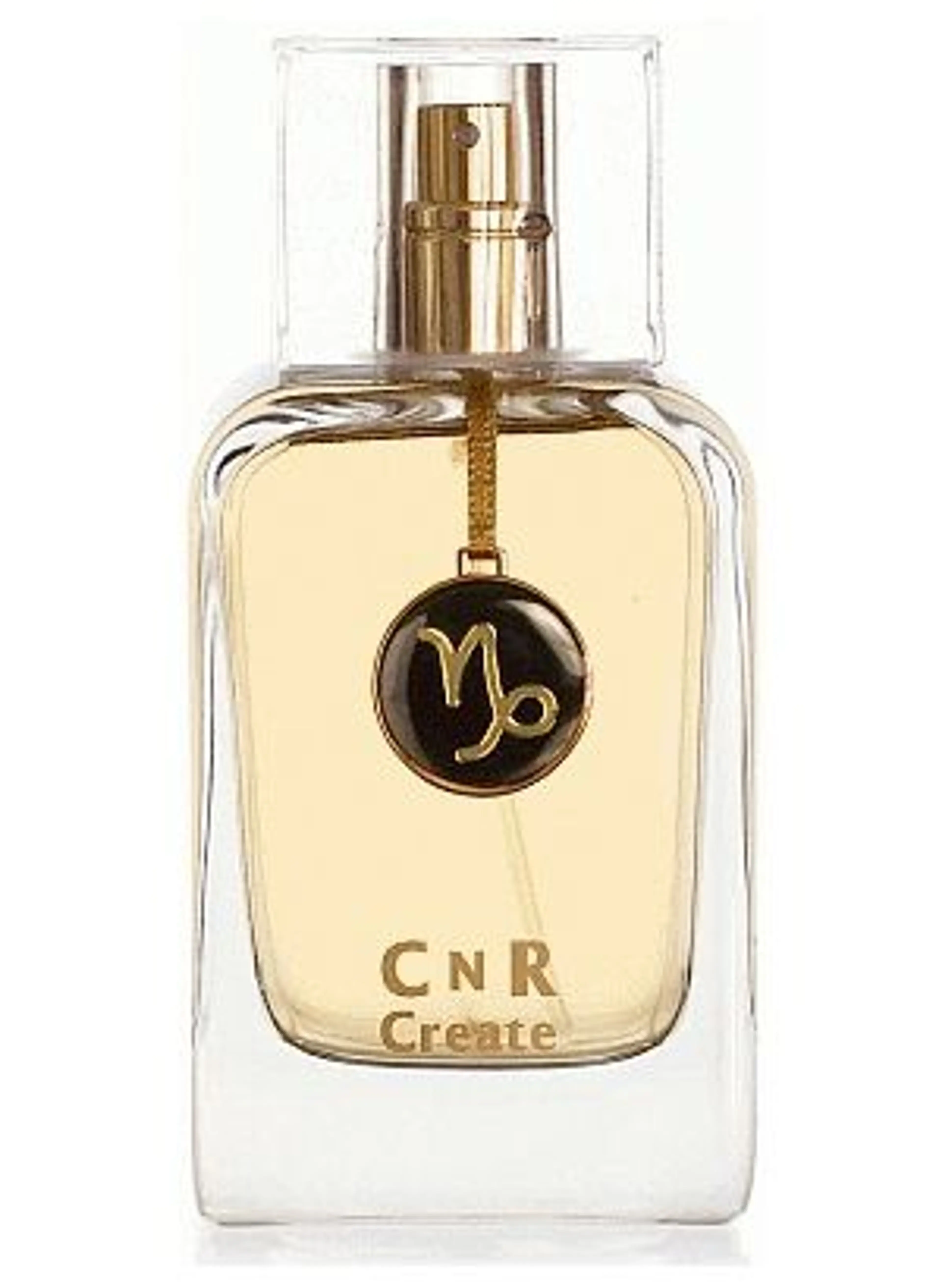 Capricorn for Men
