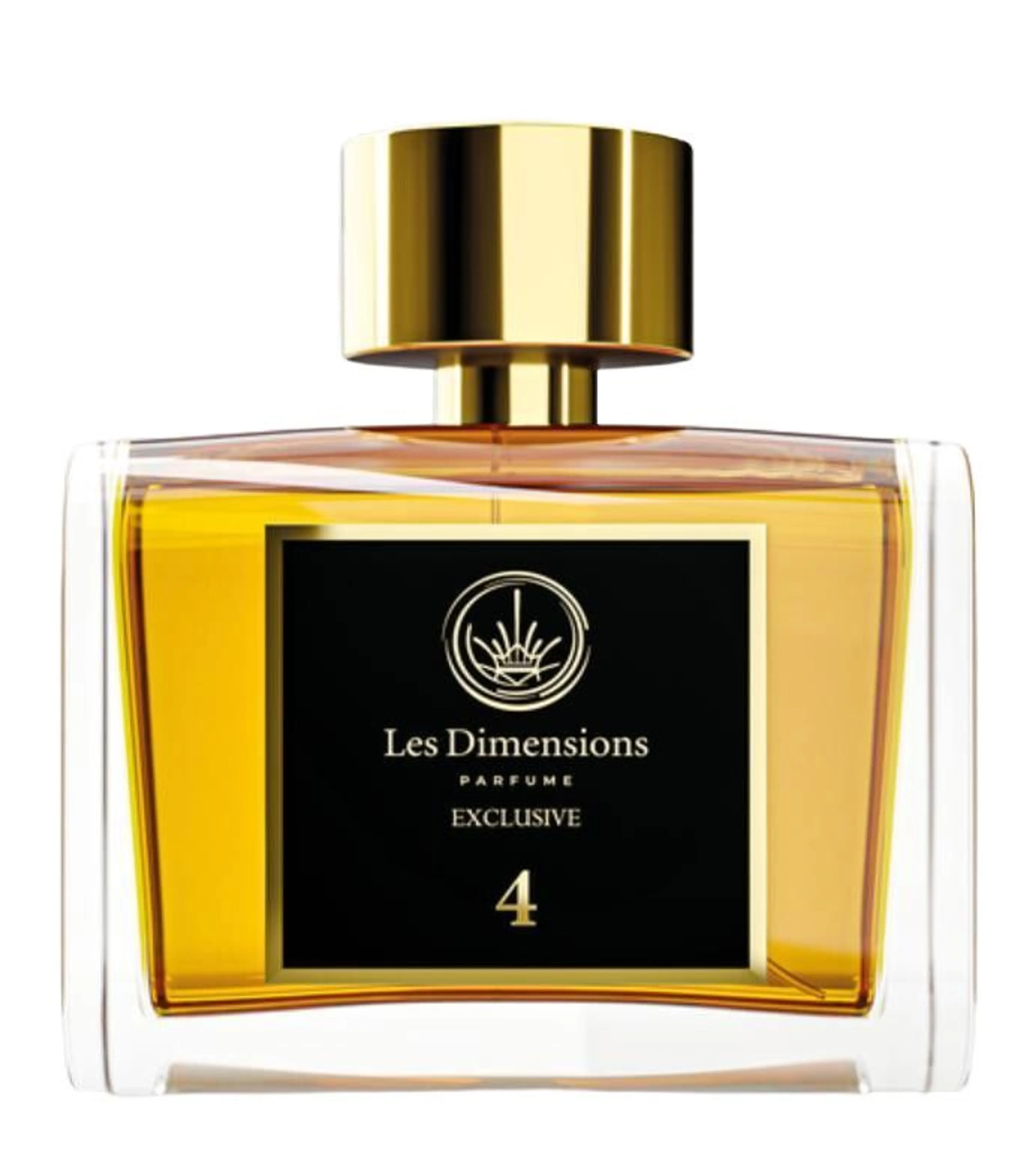 Dimension 4 - Vainqueur