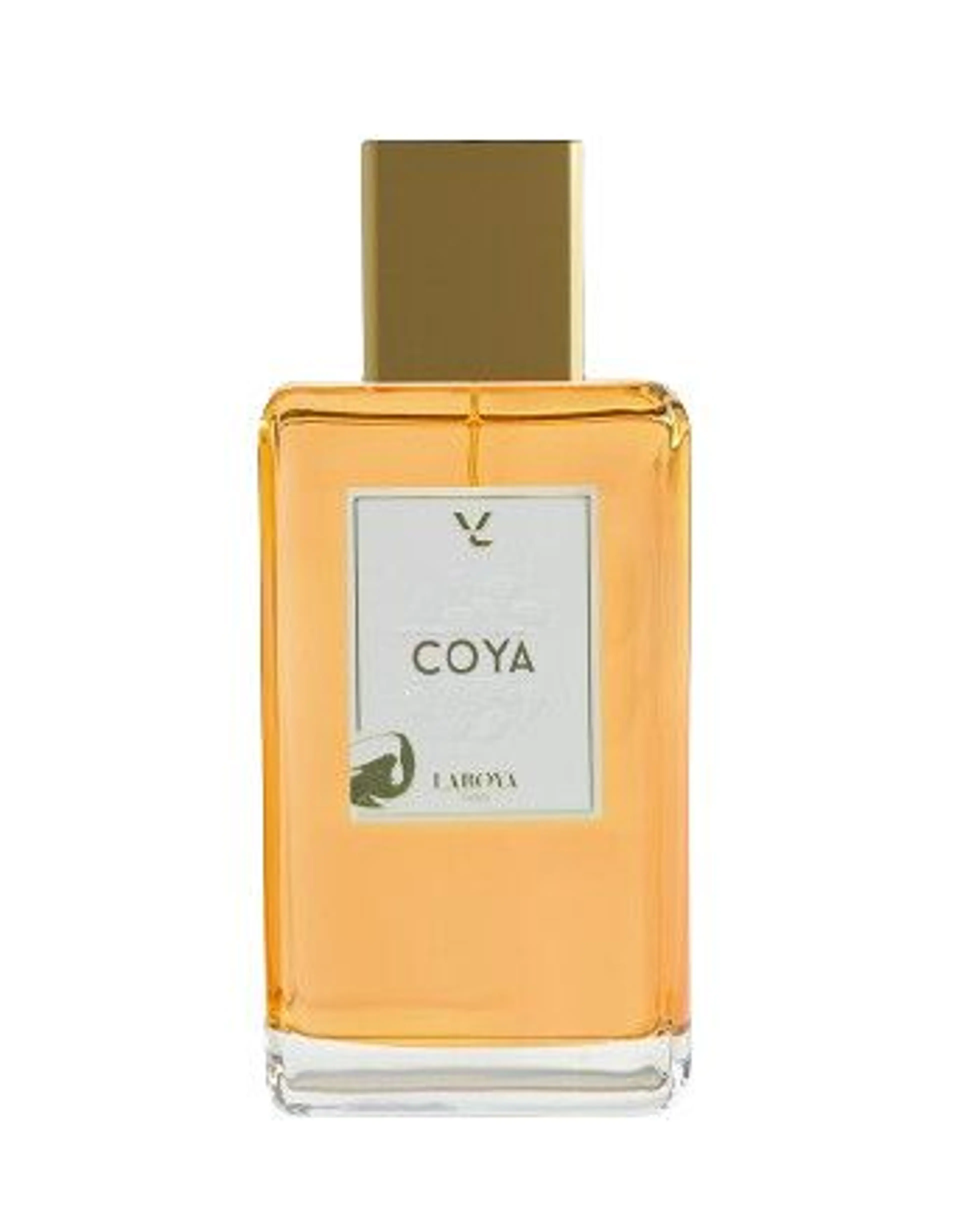 Coya
