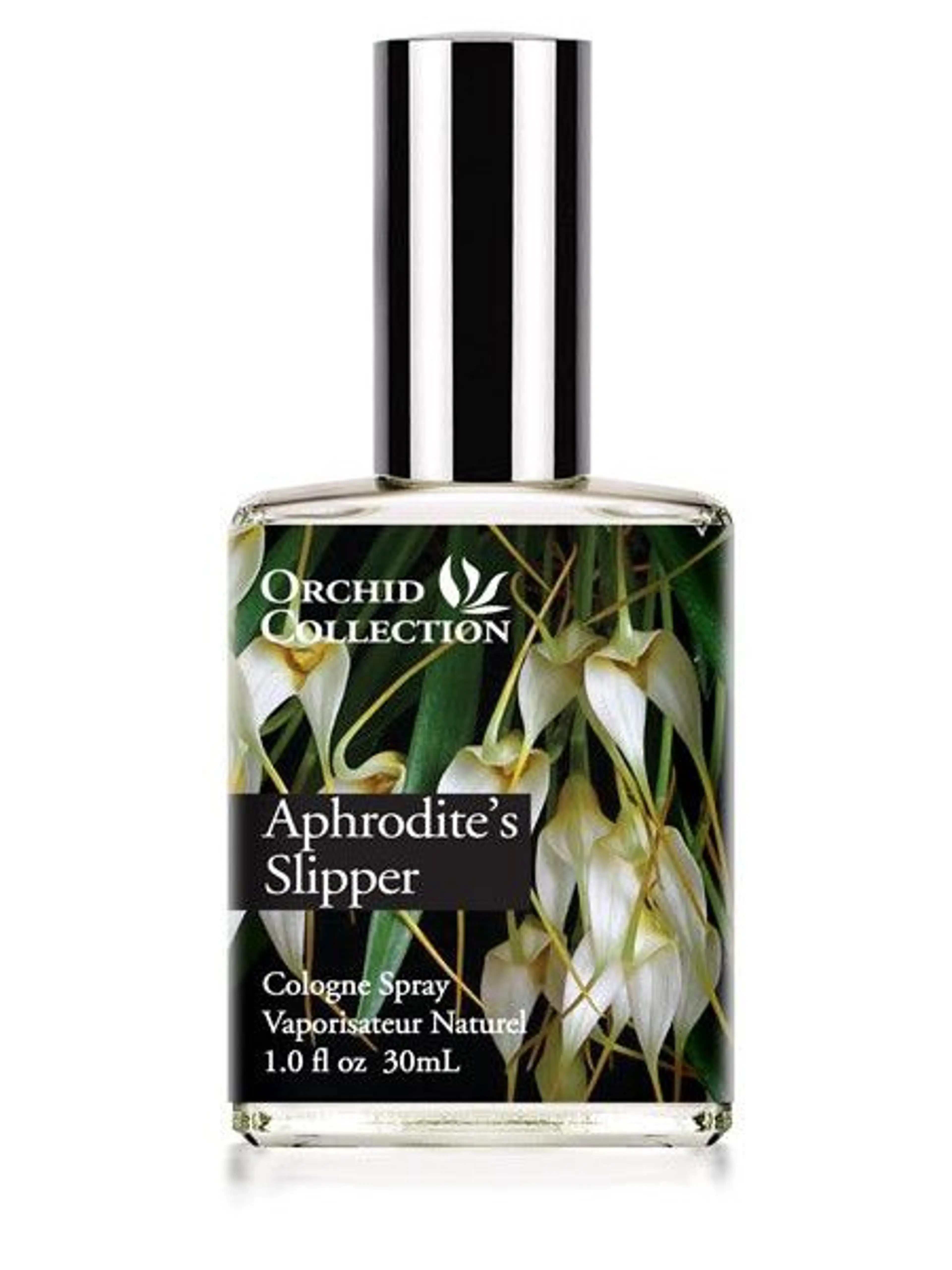 Aphrodite's Slipper Orchid