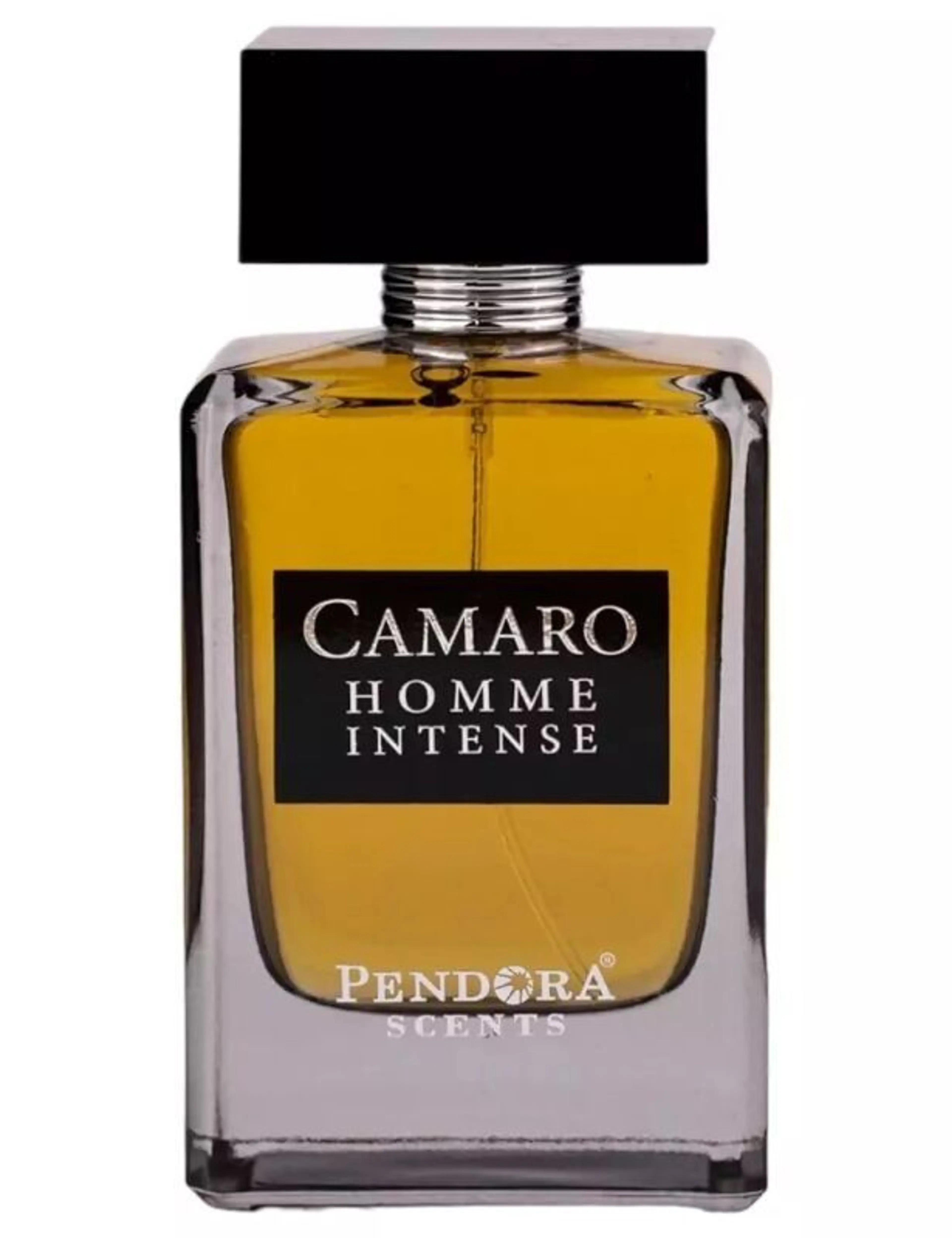 Camaro Homme Intense