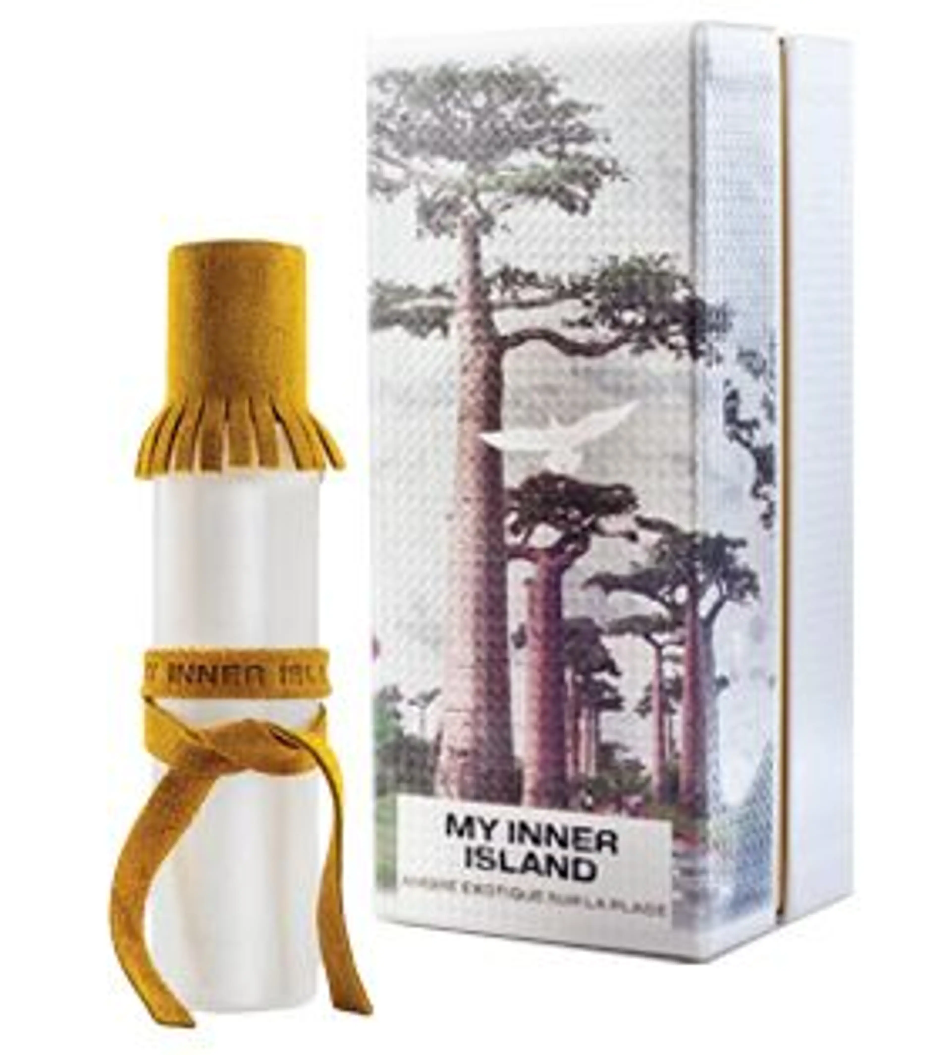 Ambre Exotique Sur La Plage