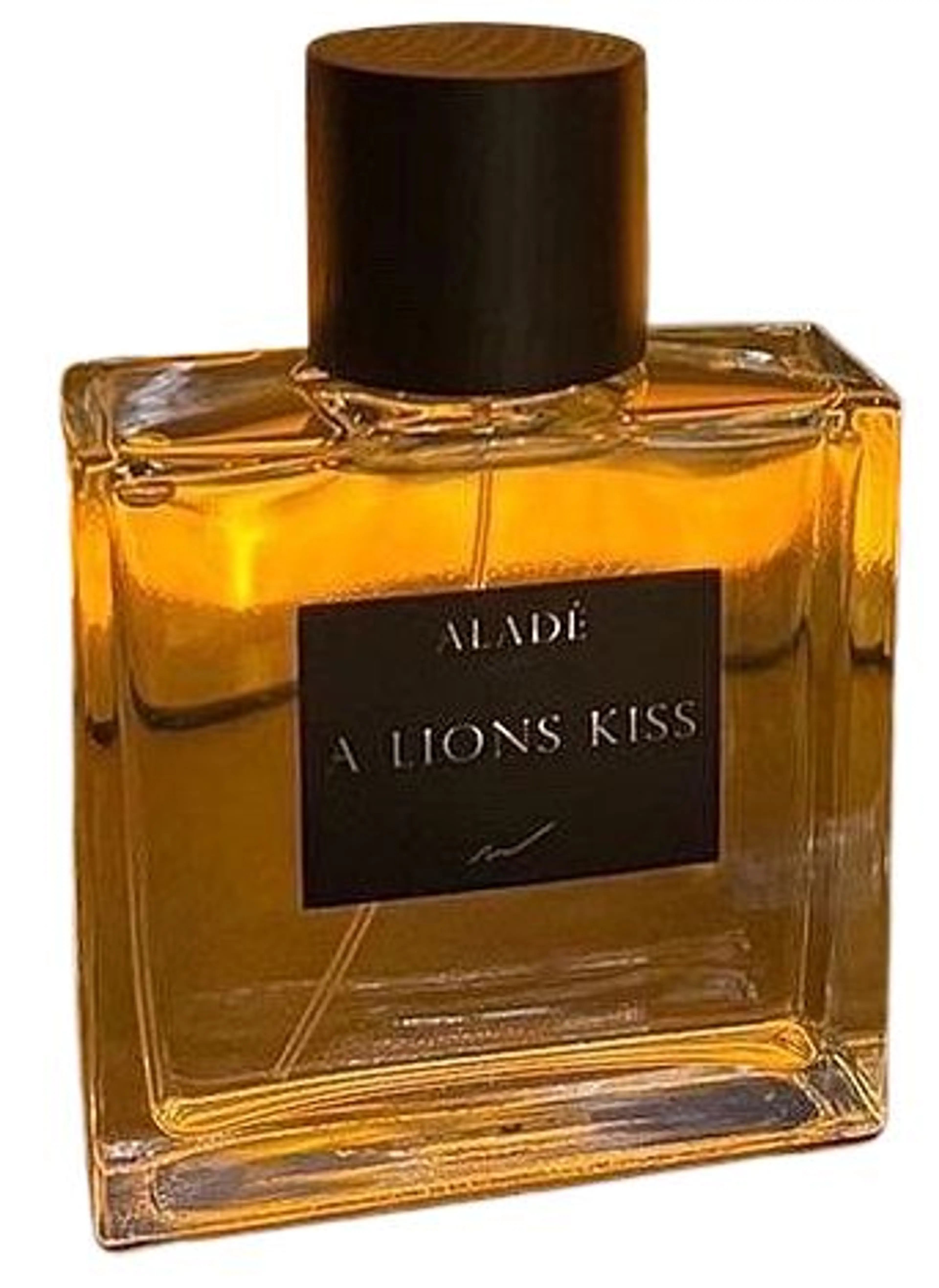 A Lions Kiss