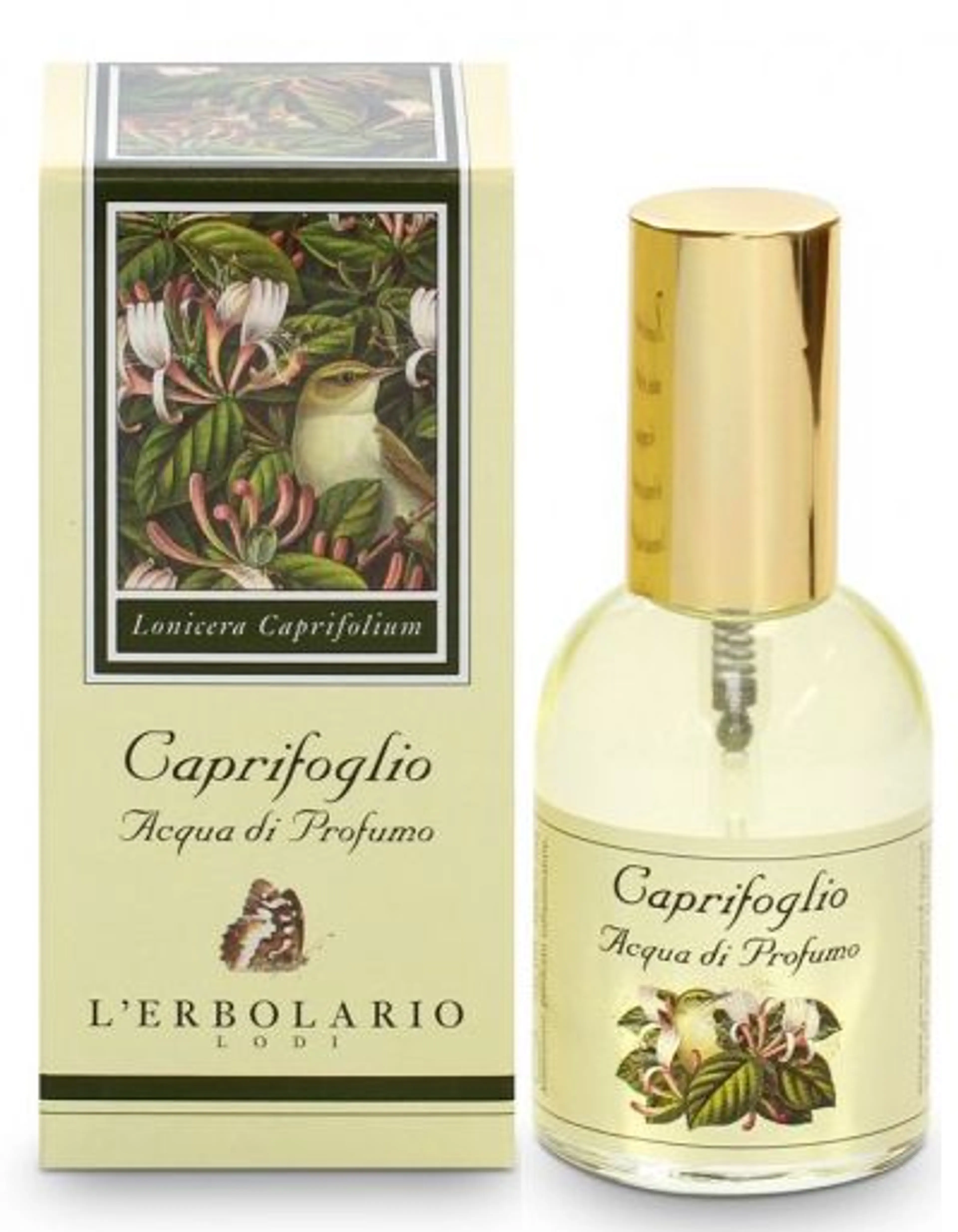 Caprifoglio