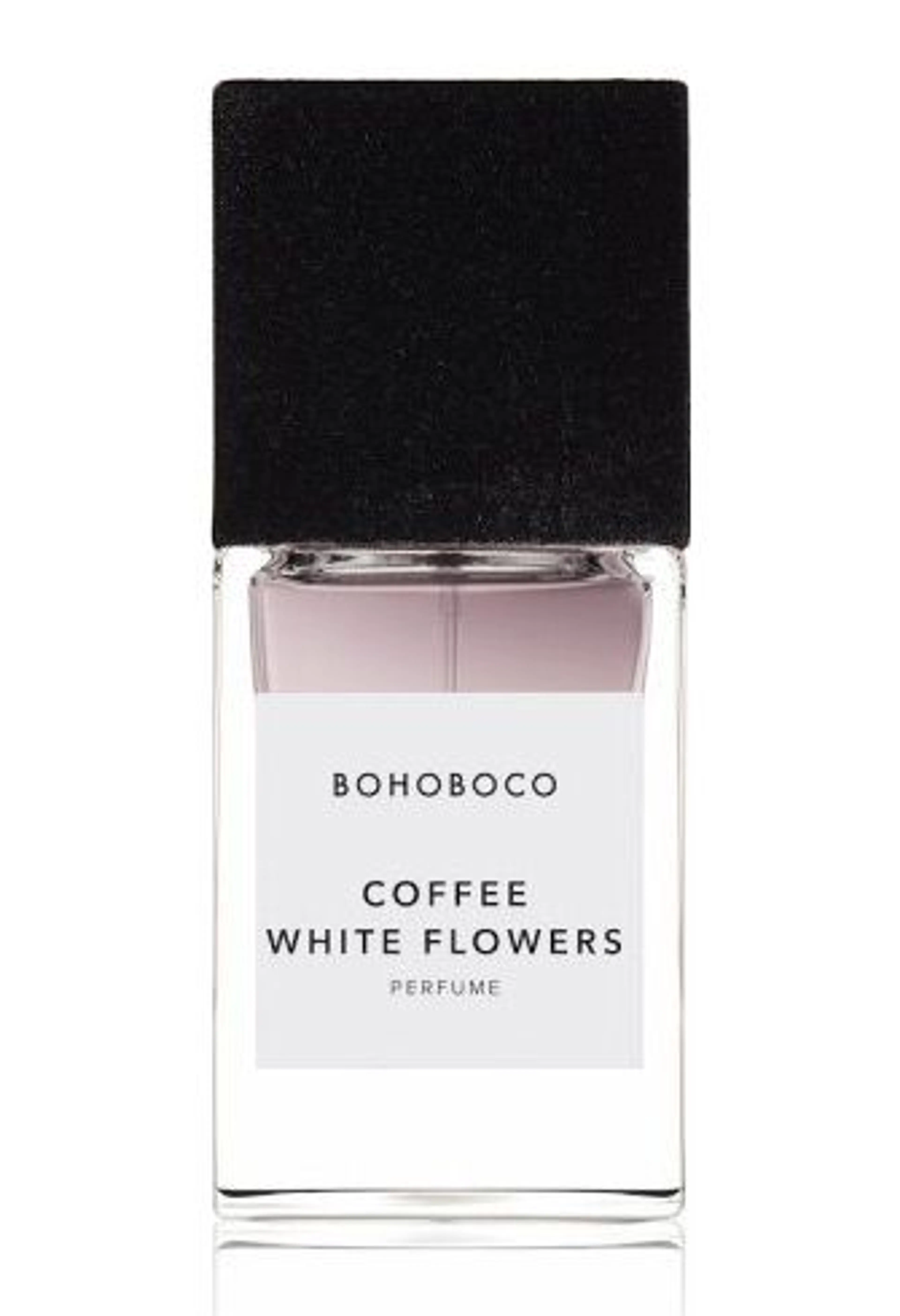 Coffee White Flowers