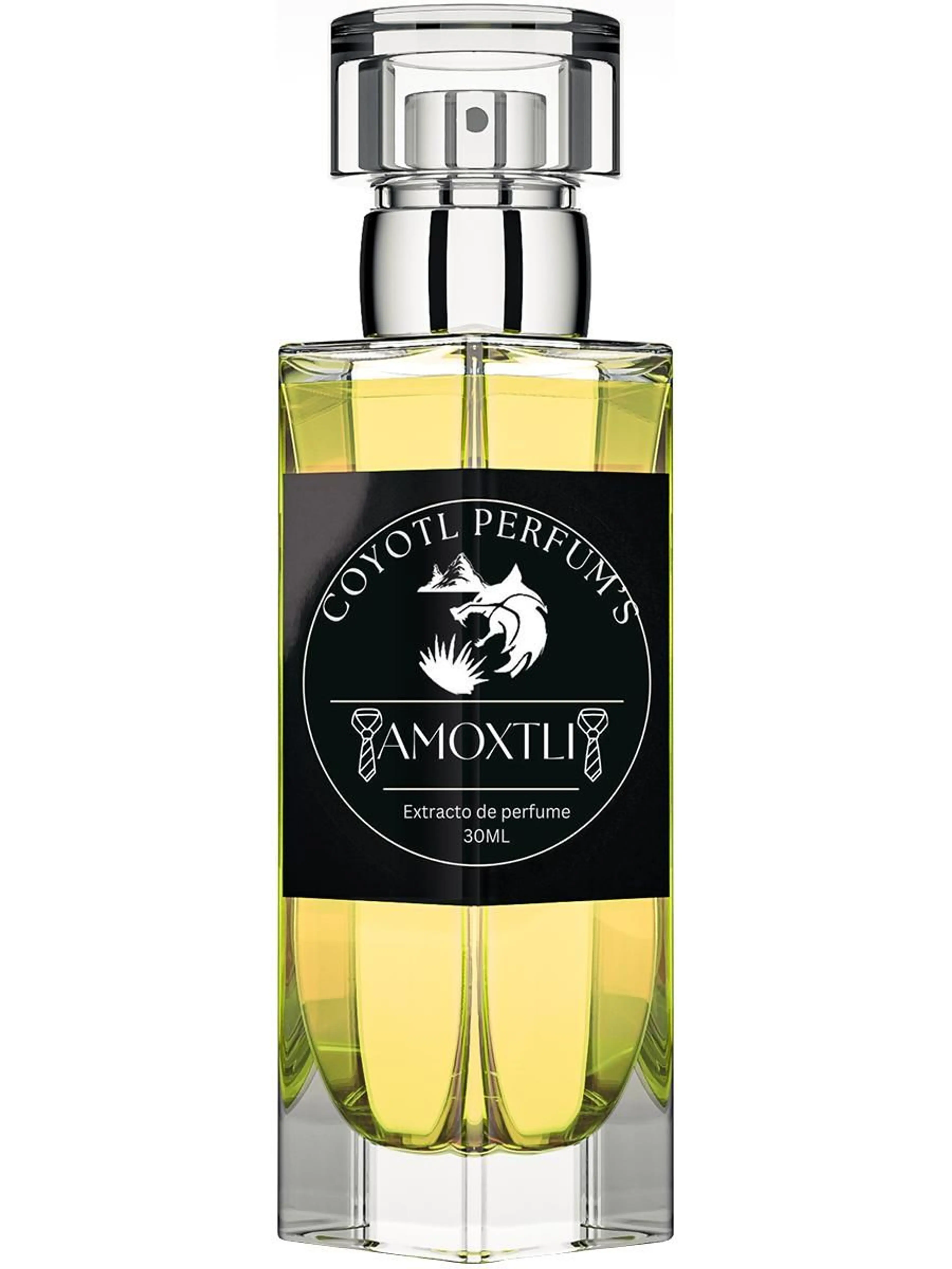 Amoxtli