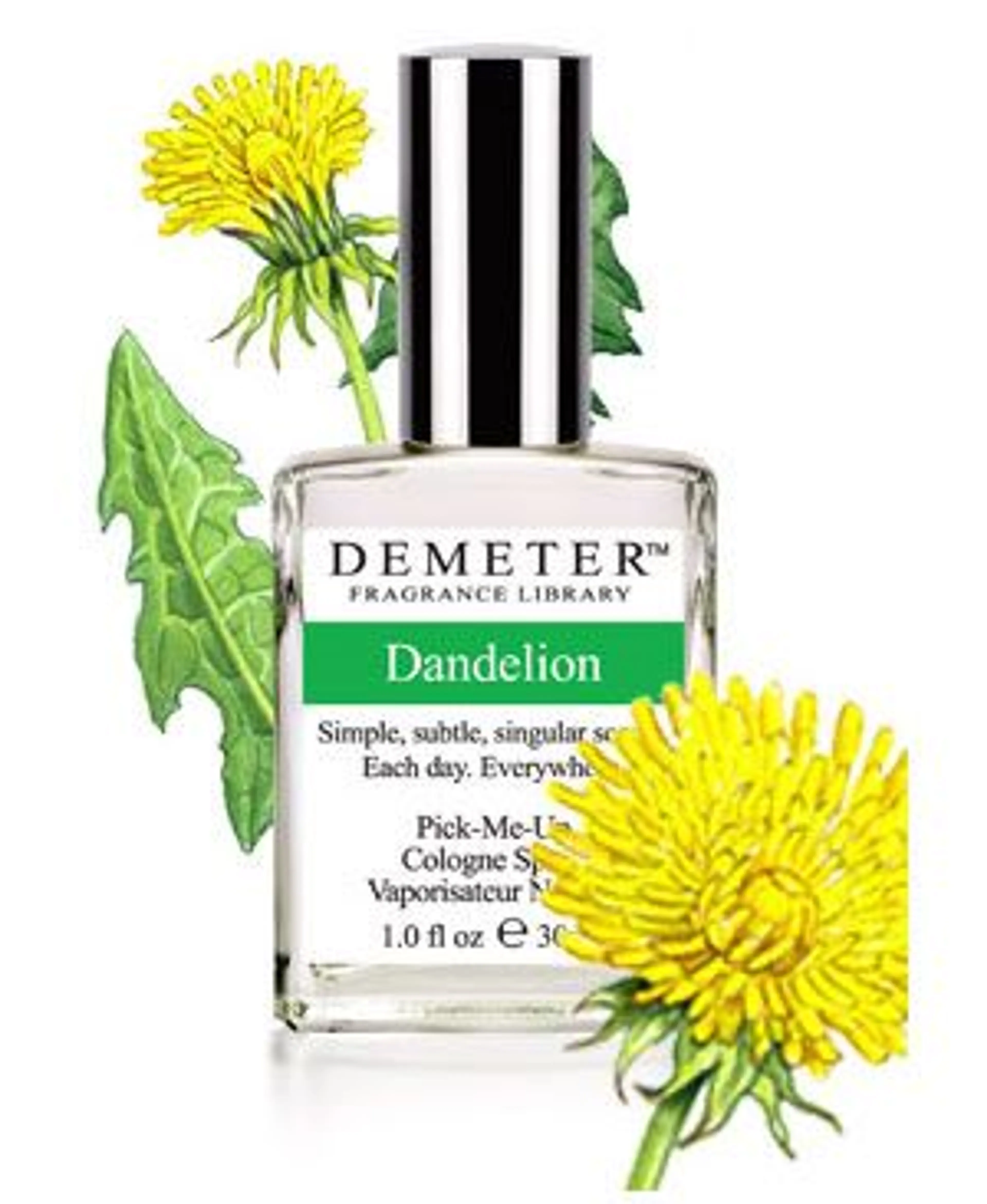 Dandelion
