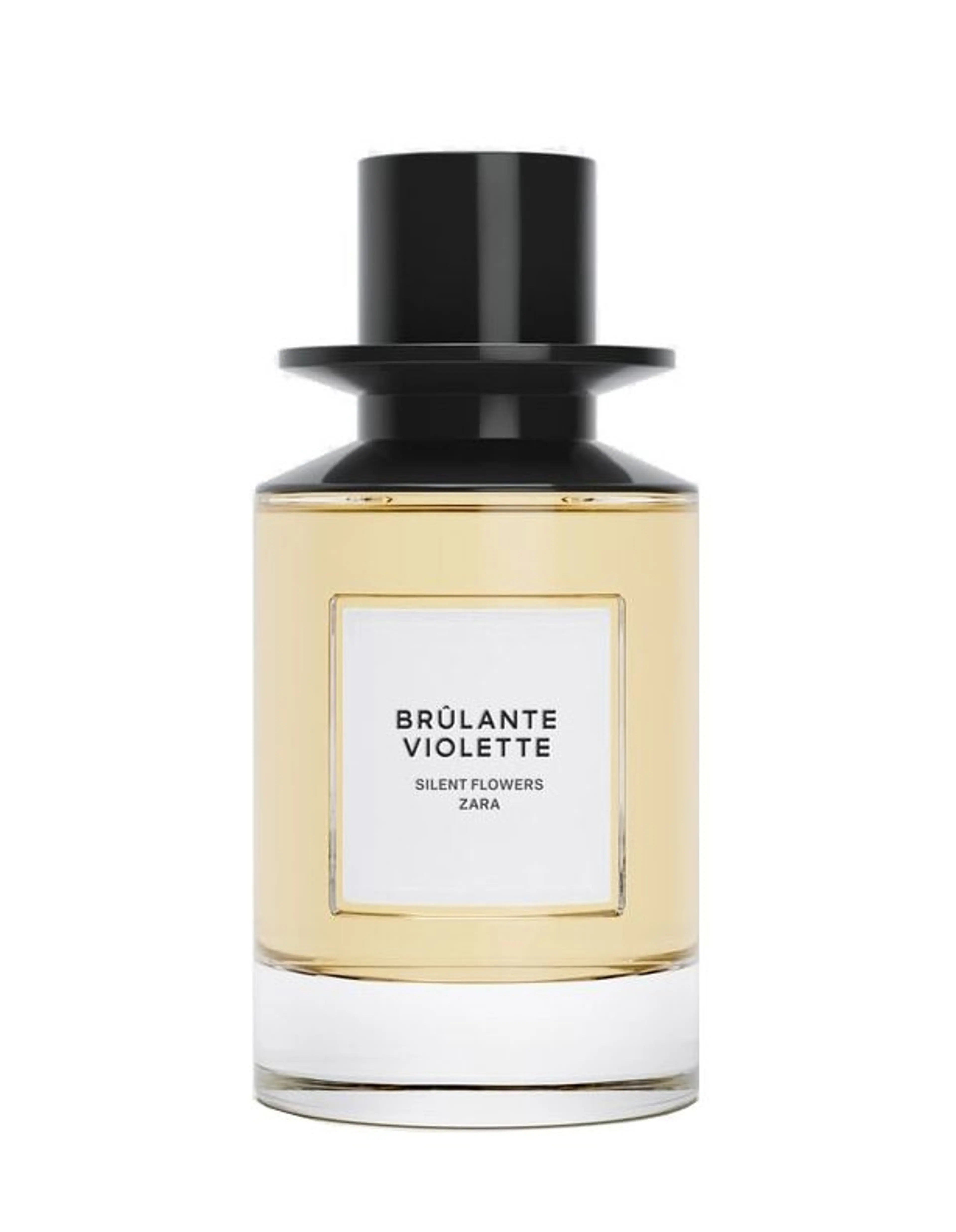 Brulante Violette