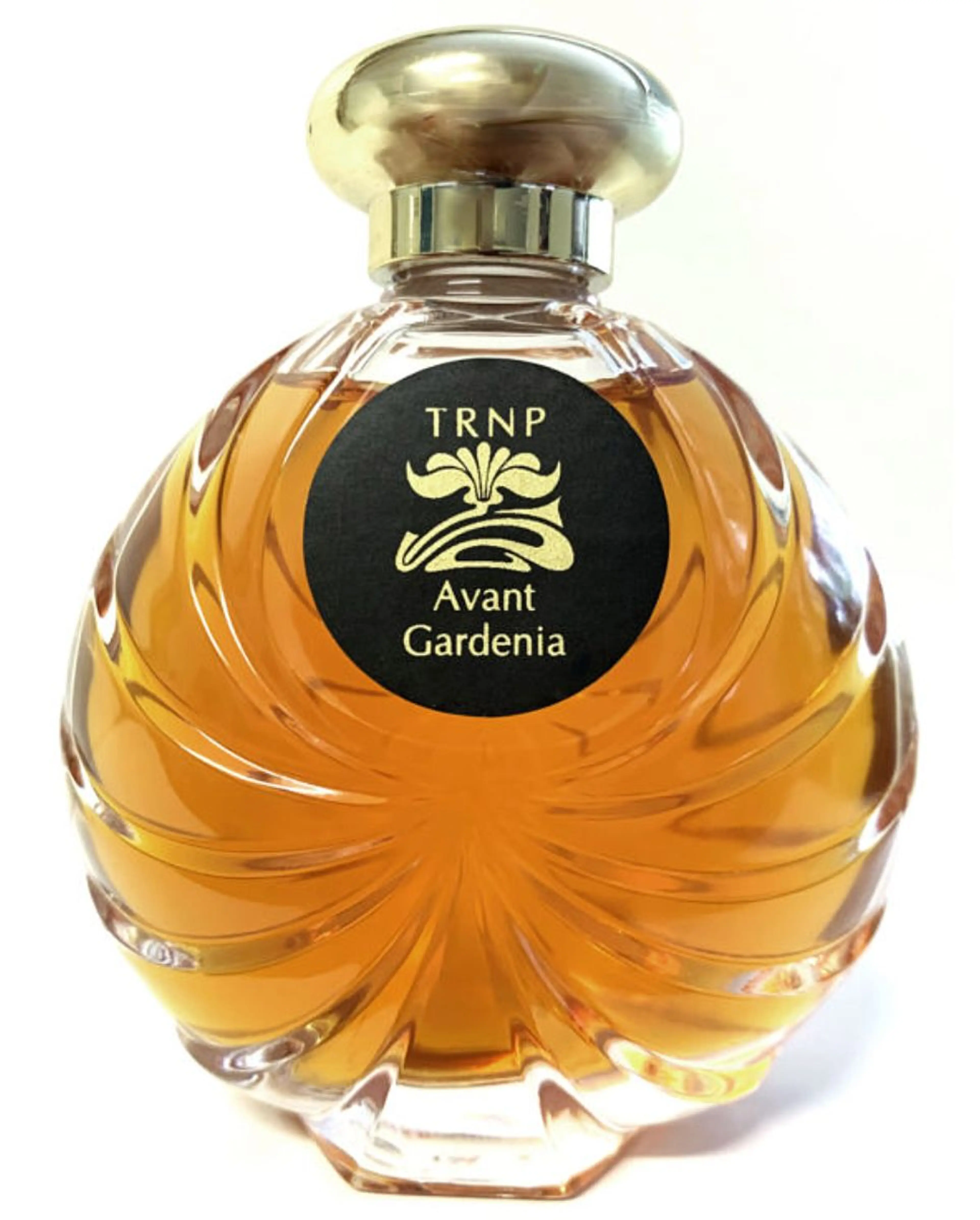 Avant Gardenia