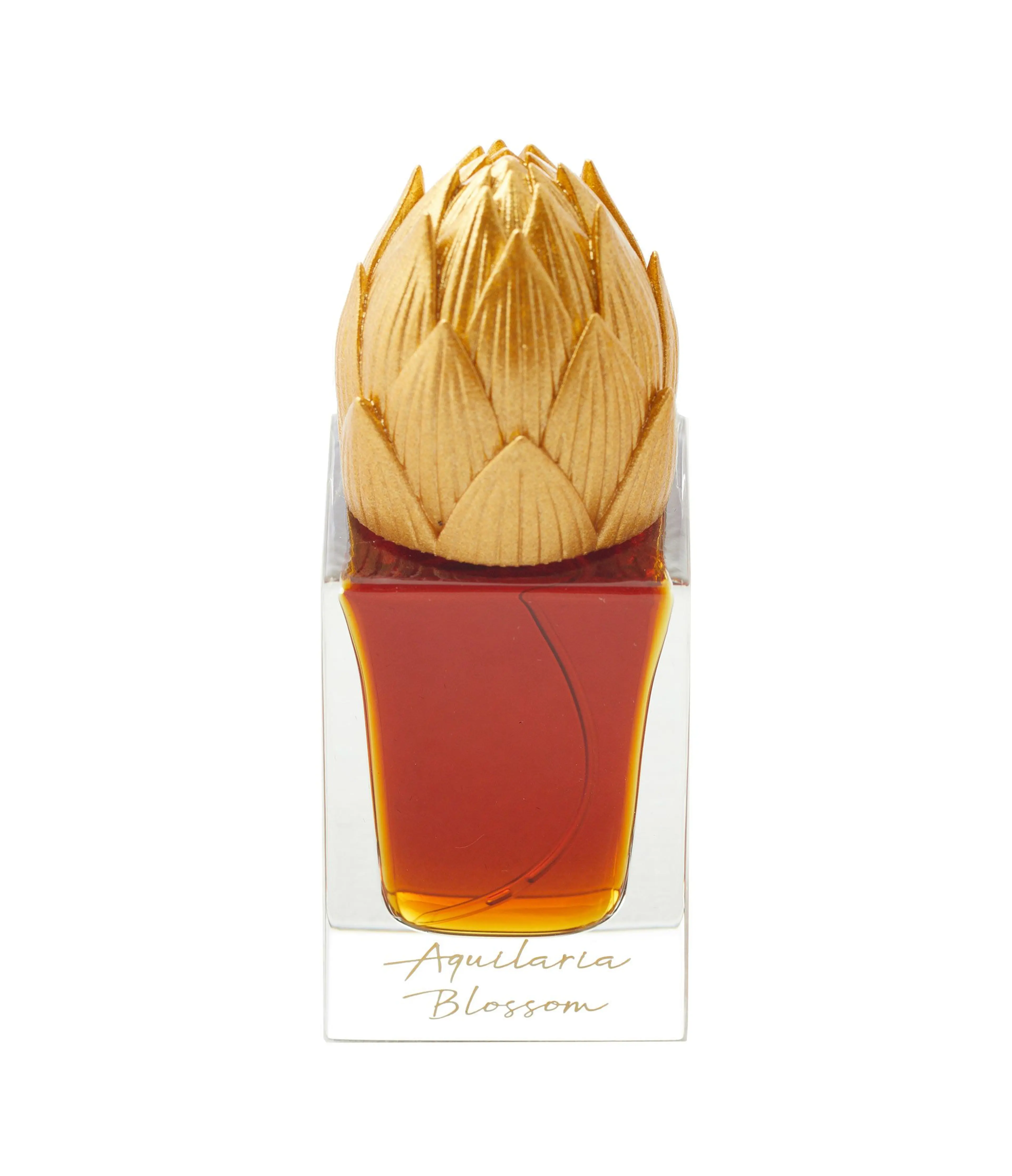 Aquilaria Blossom