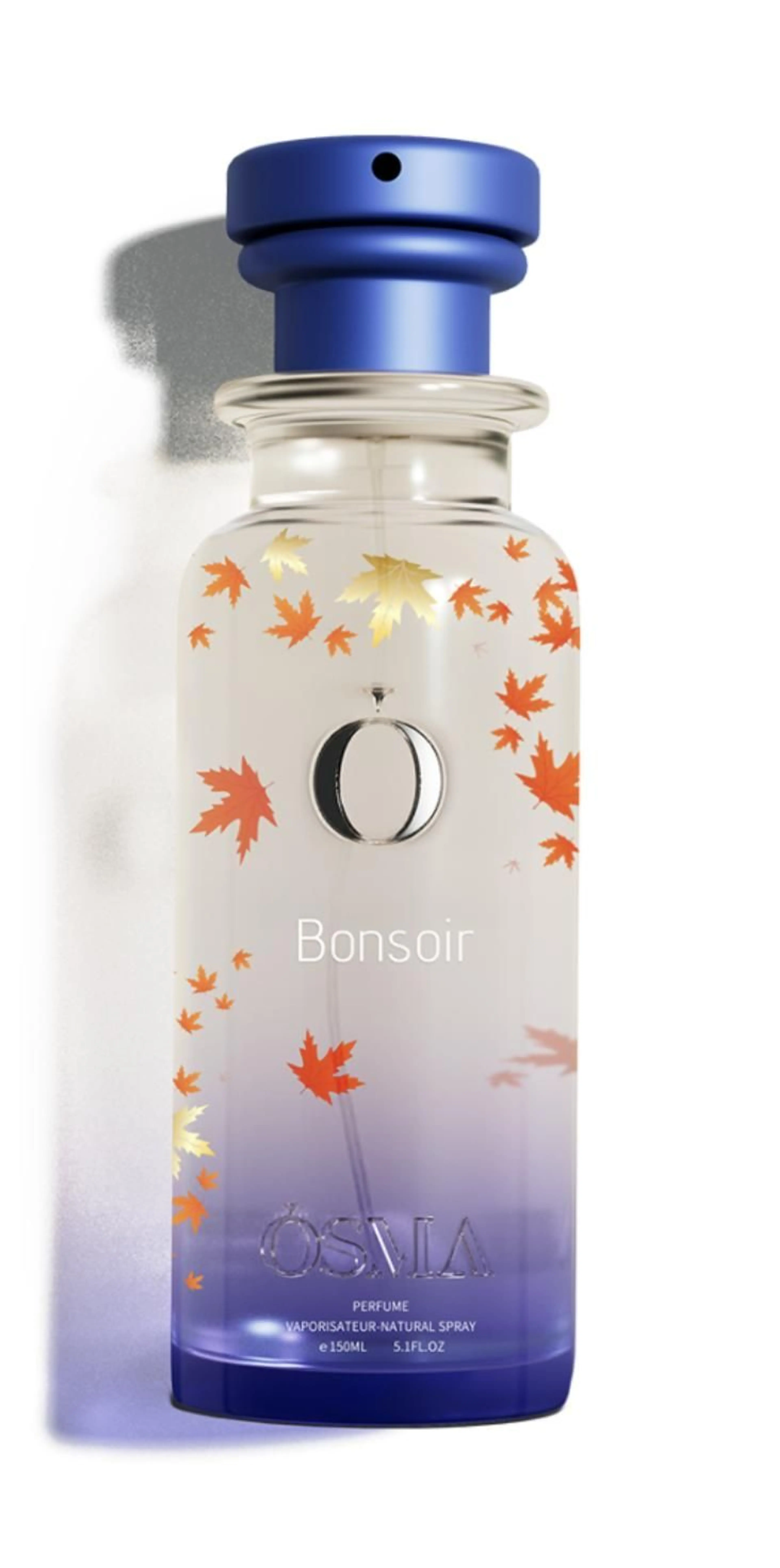 Bonsoir