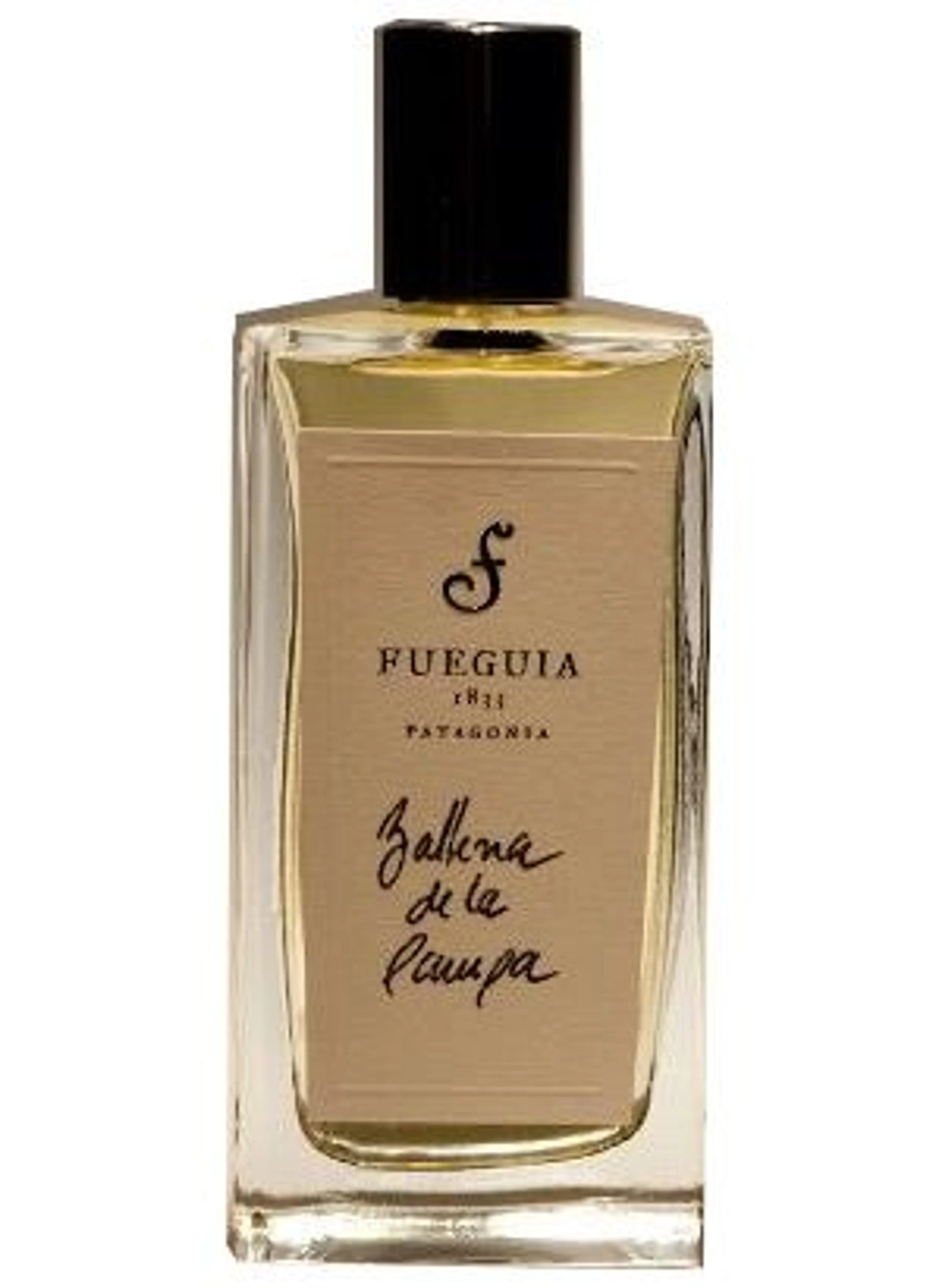 Ballena de la Pampa