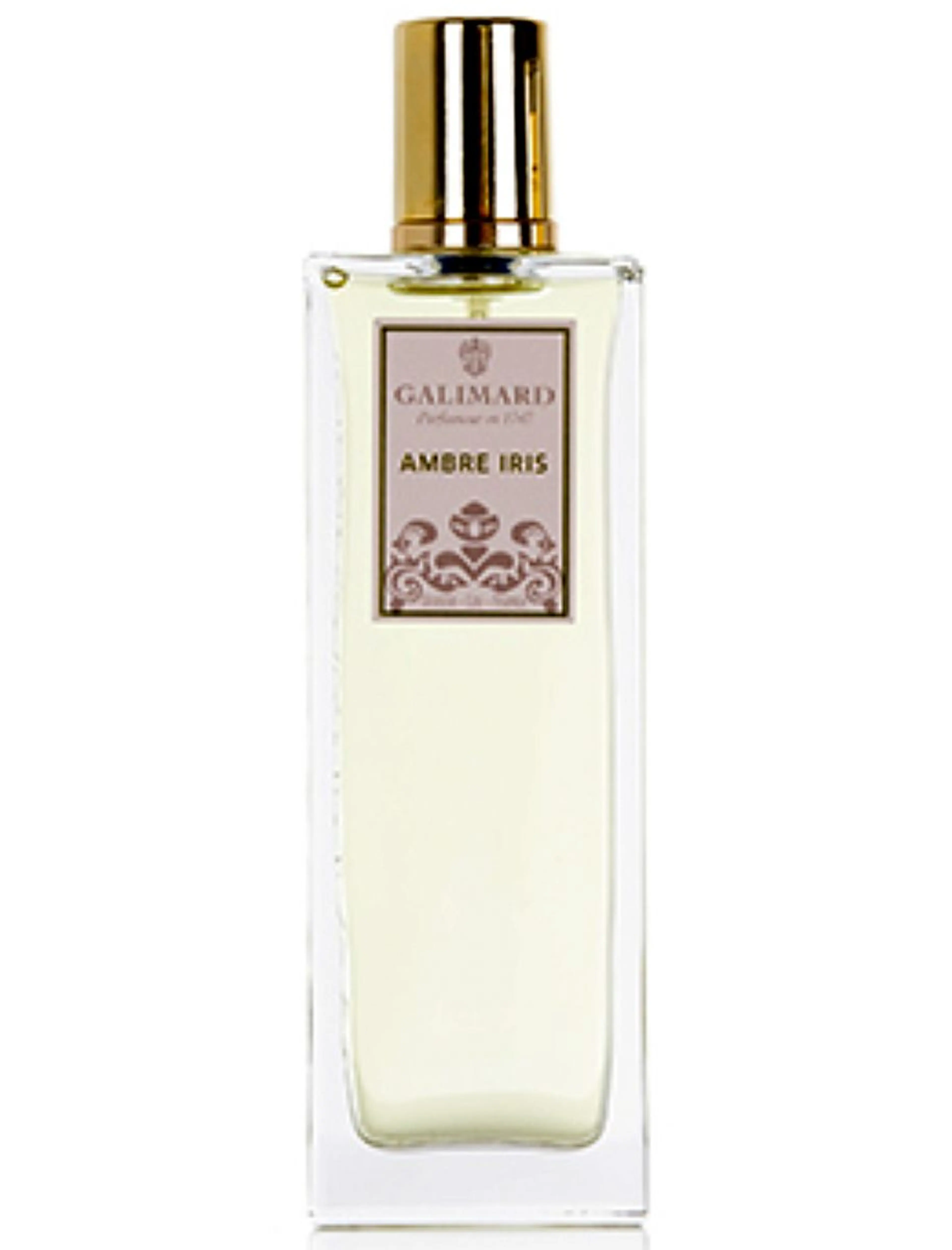 Ambre Iris