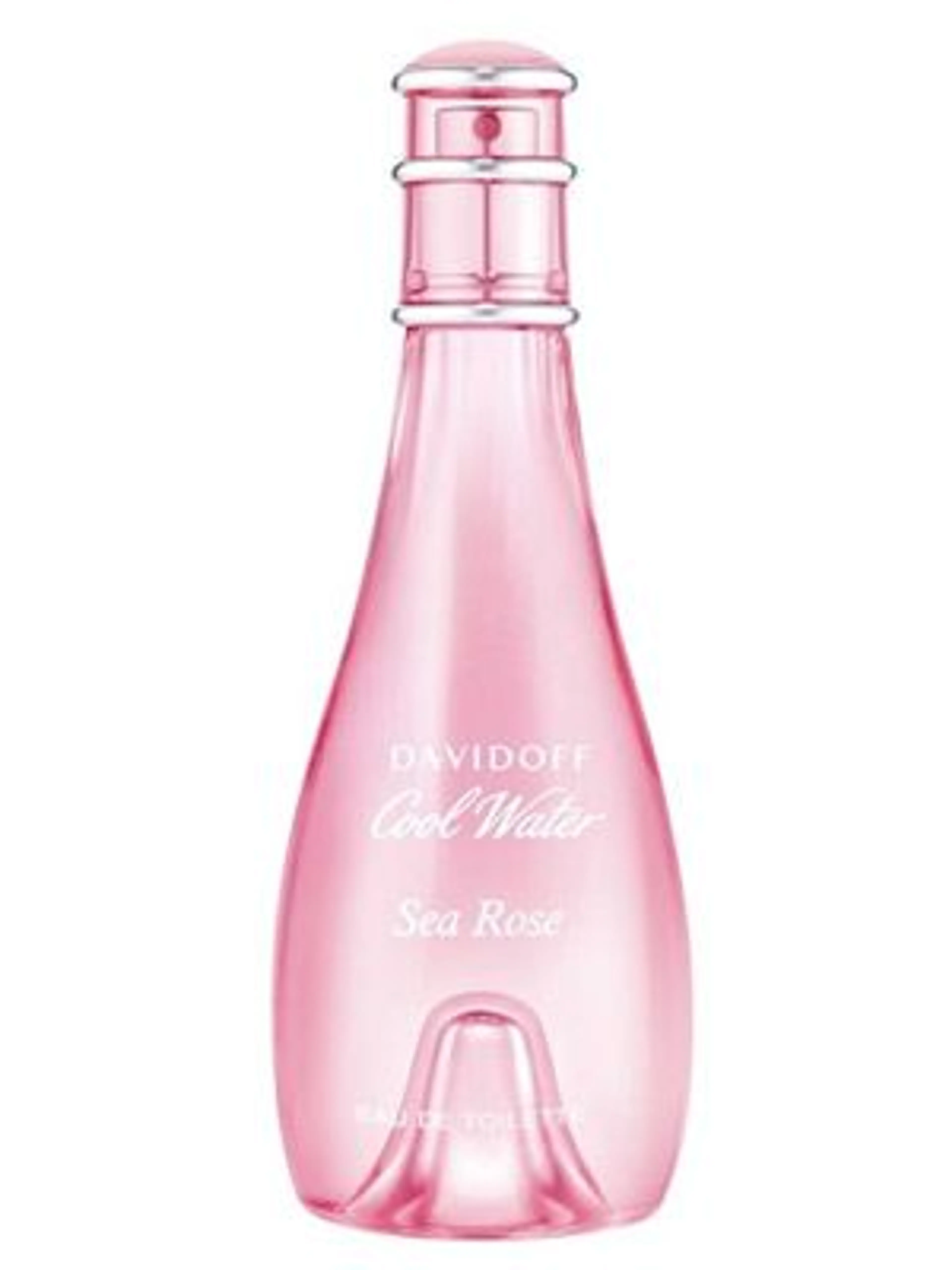 Cool Water Sea Rose