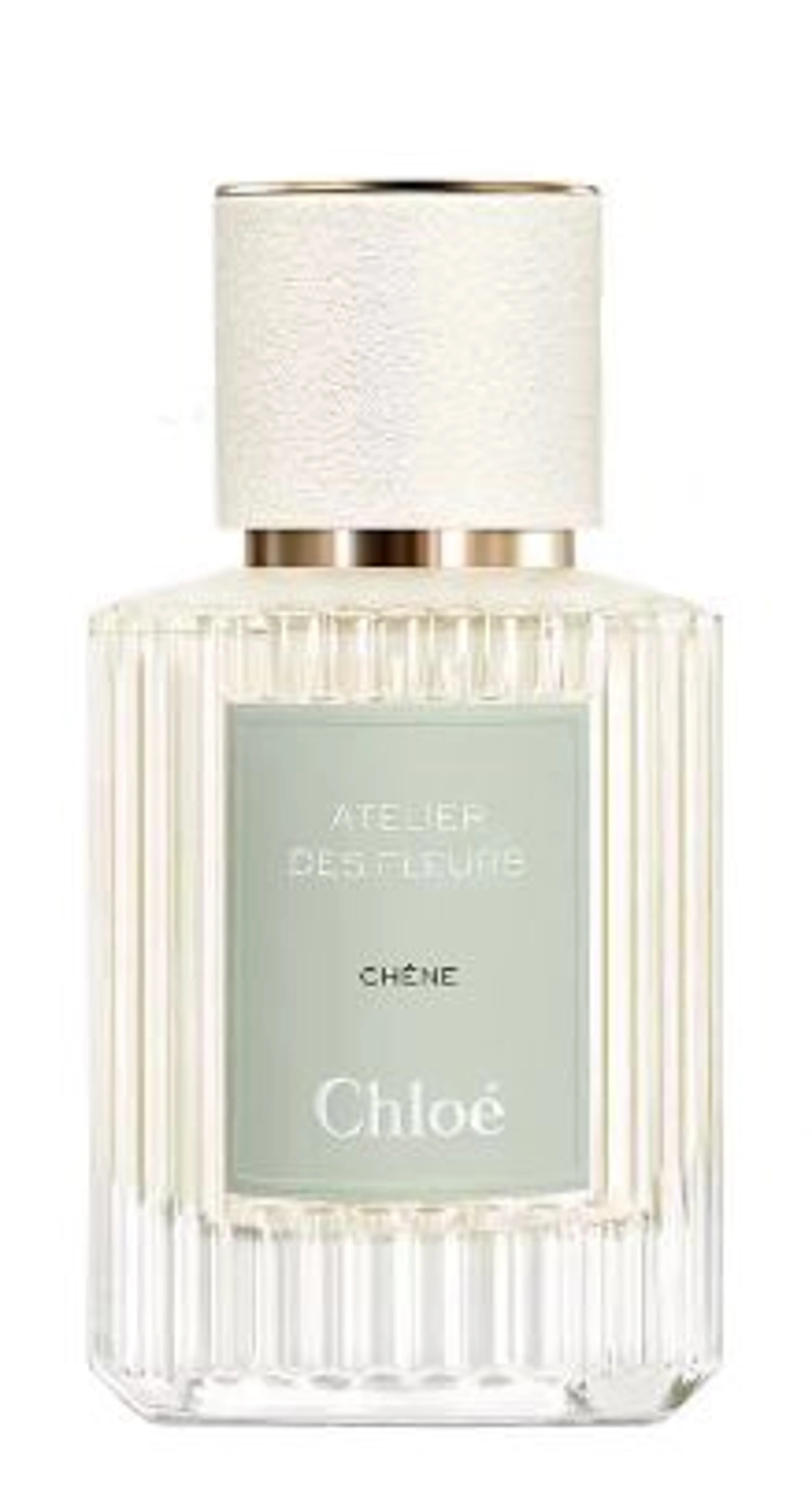Chêne