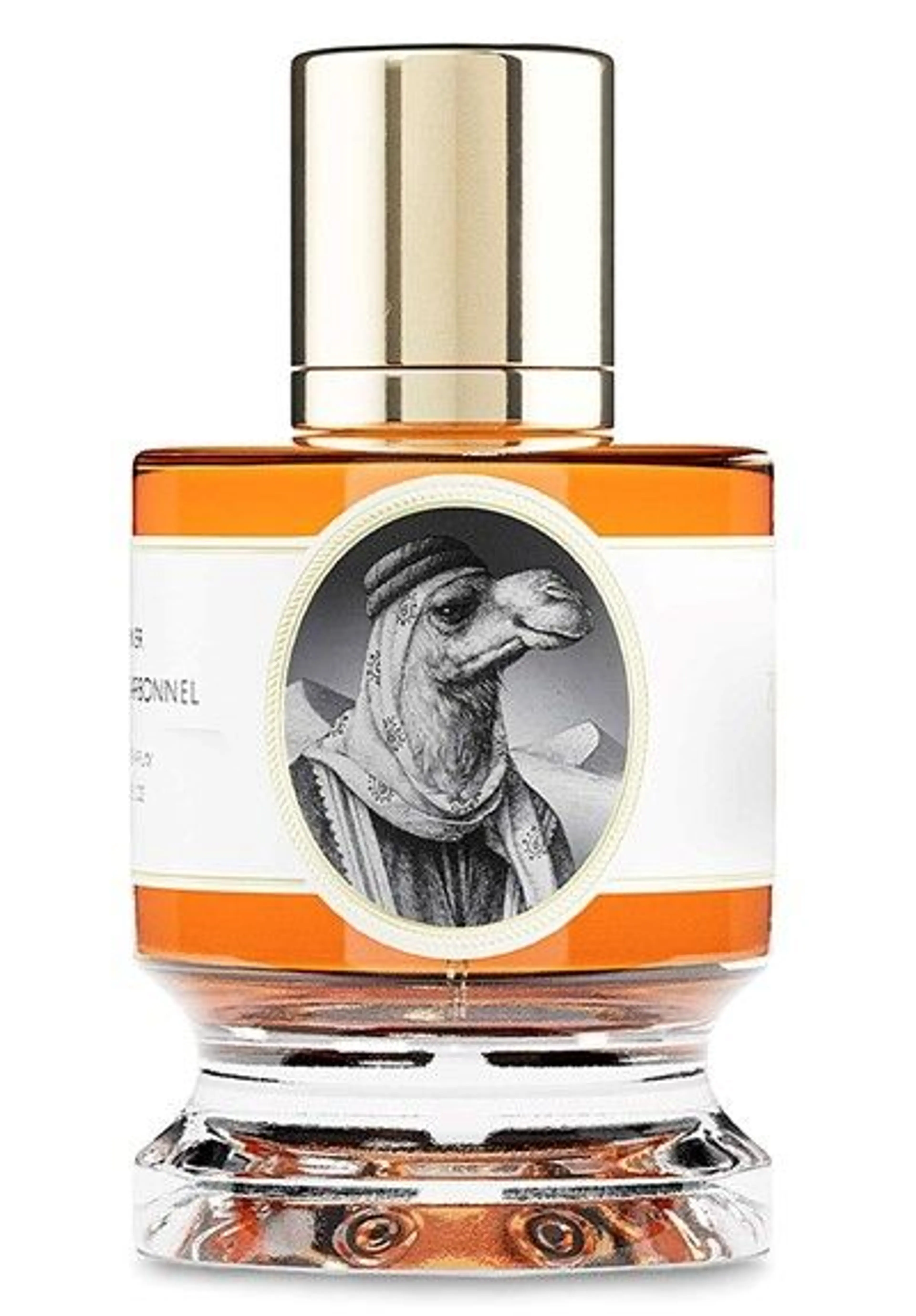 Camel