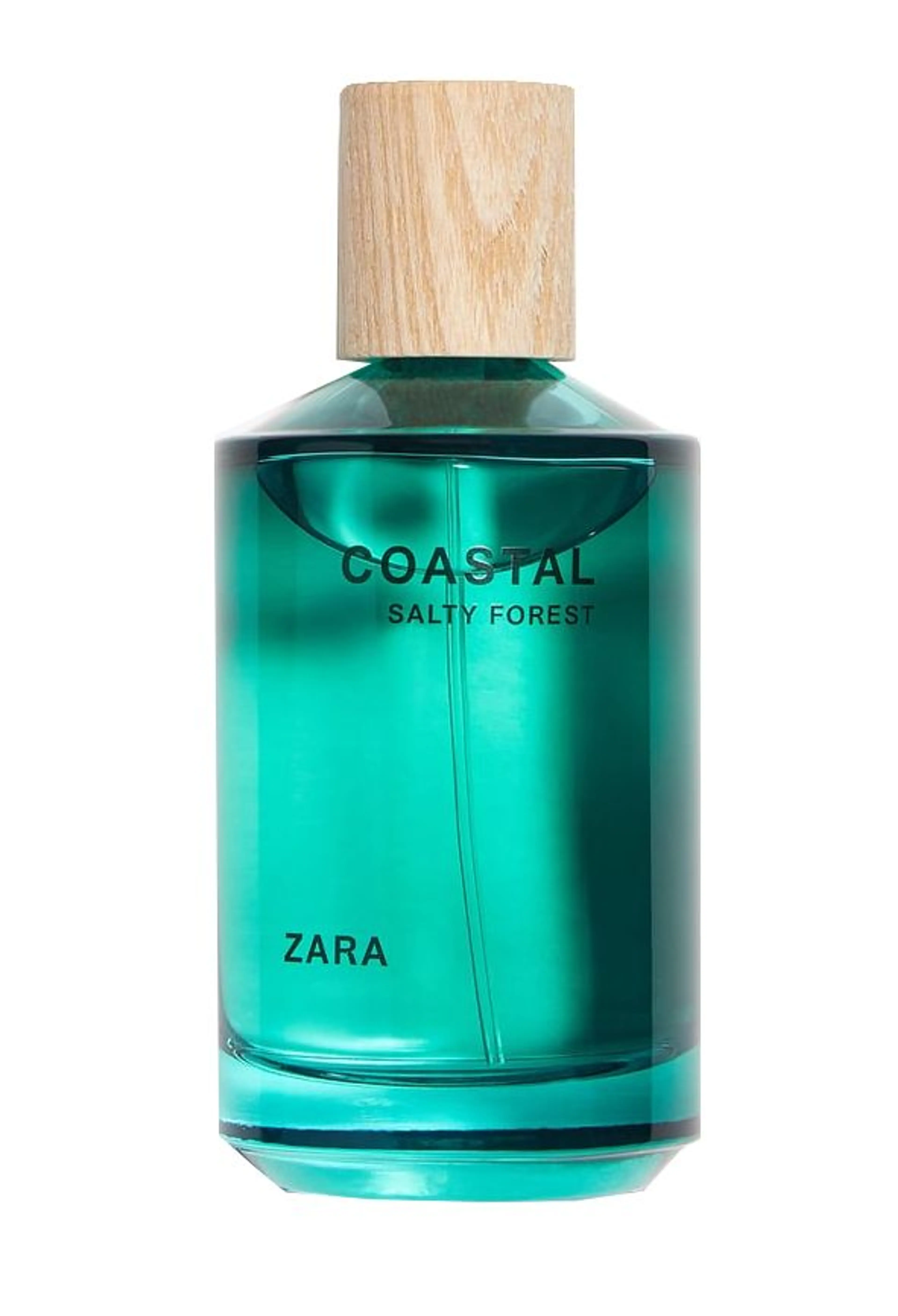 Coastal Salty Forest