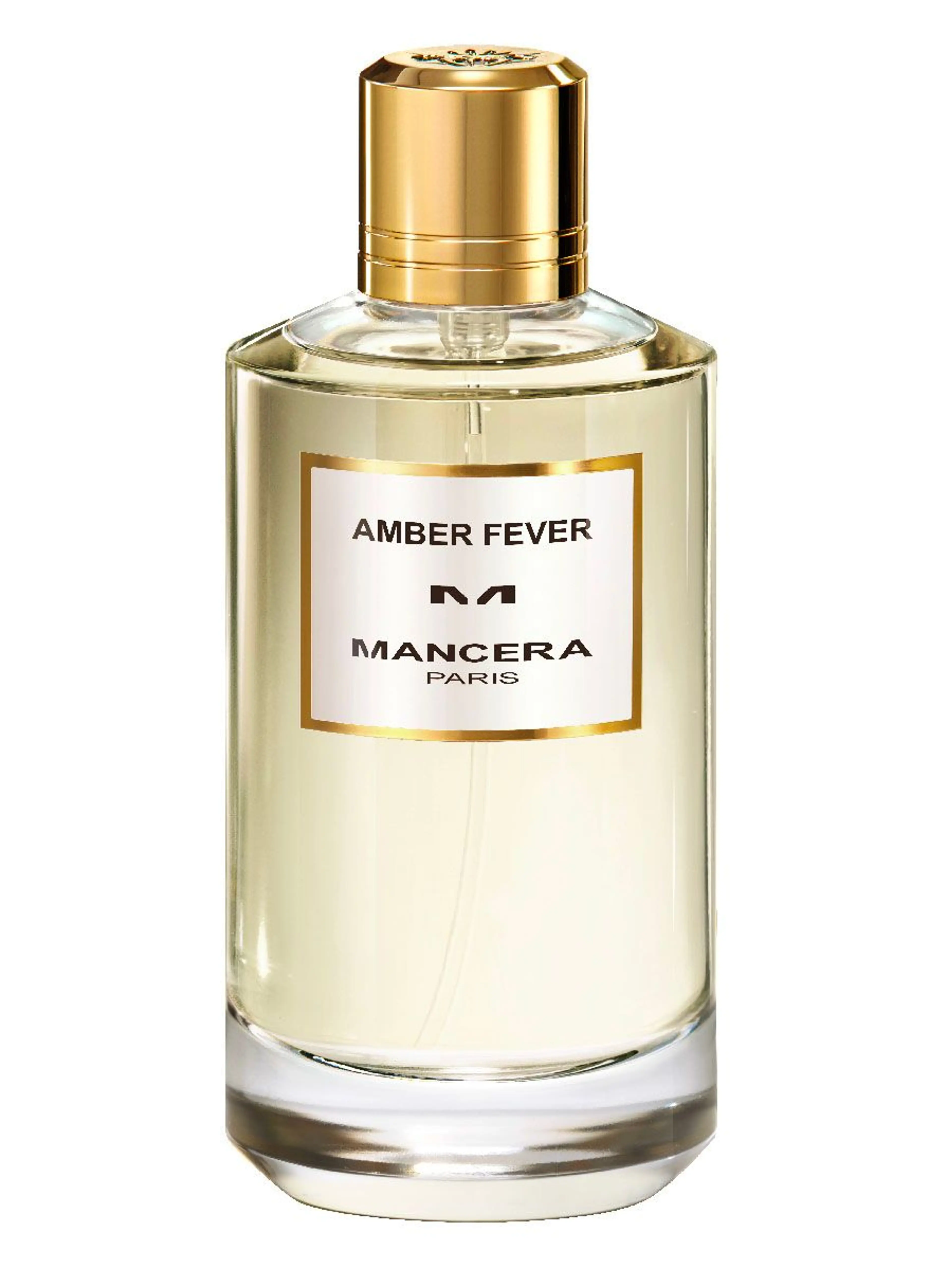 Amber Fever