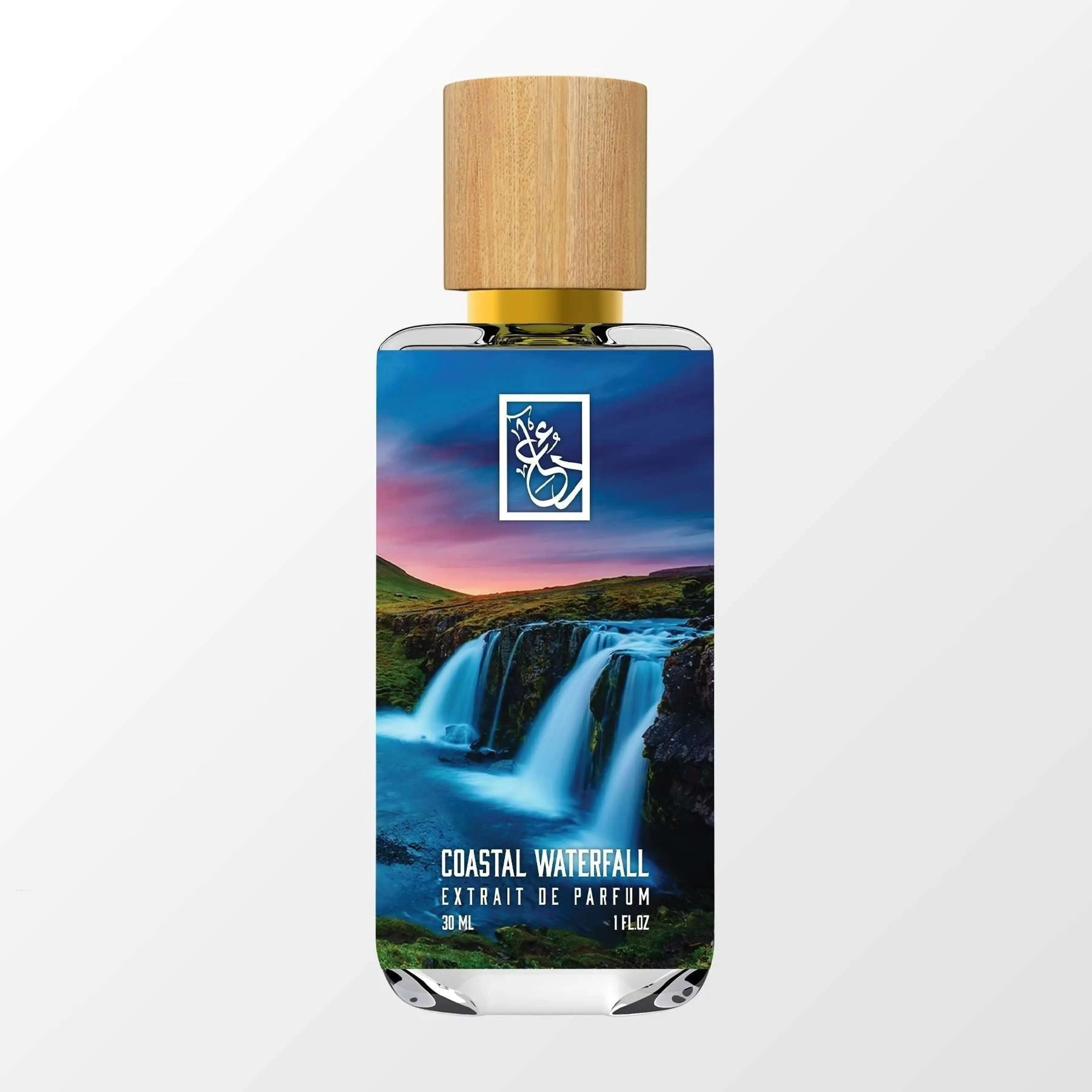 Coastal Waterfall