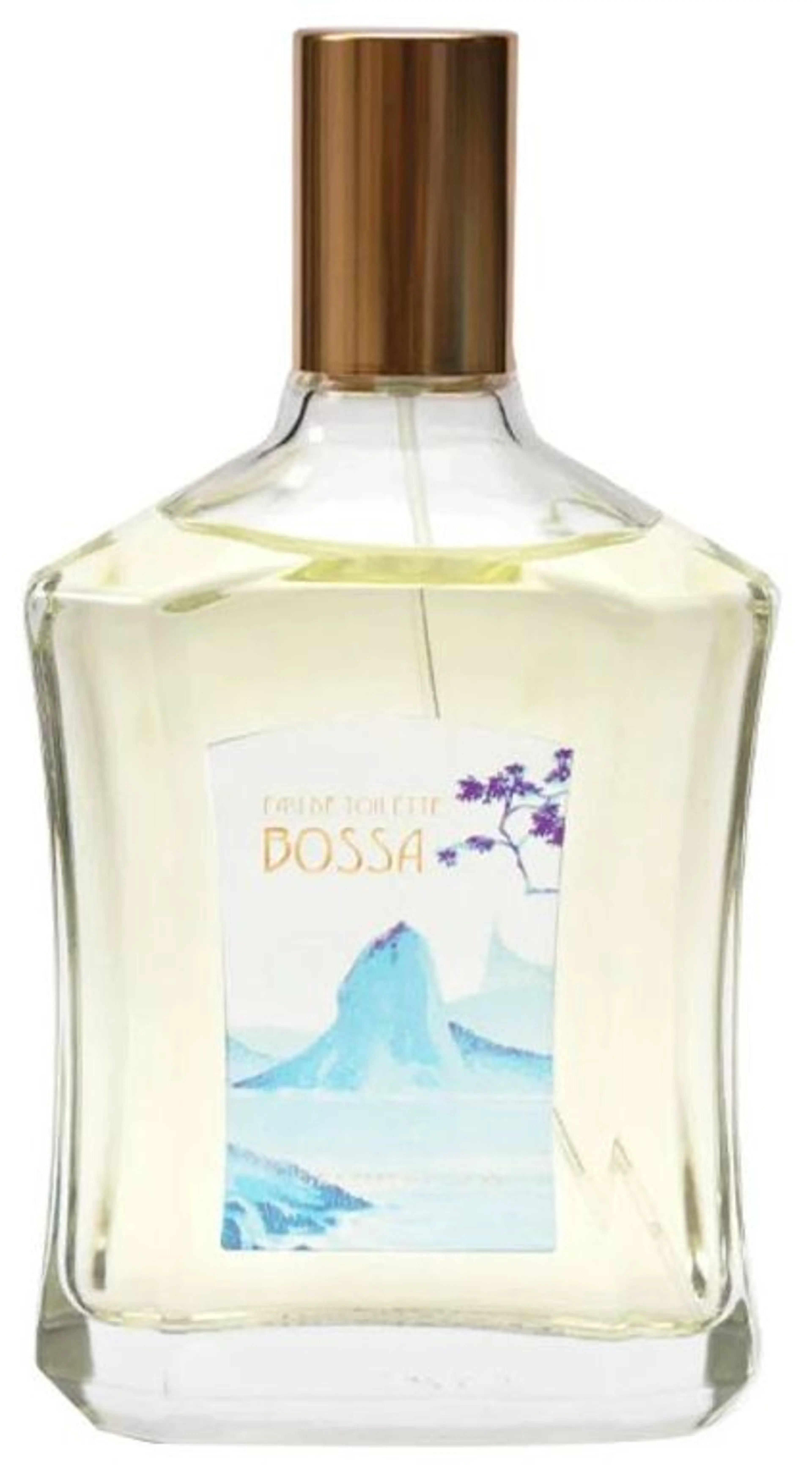 Bossa