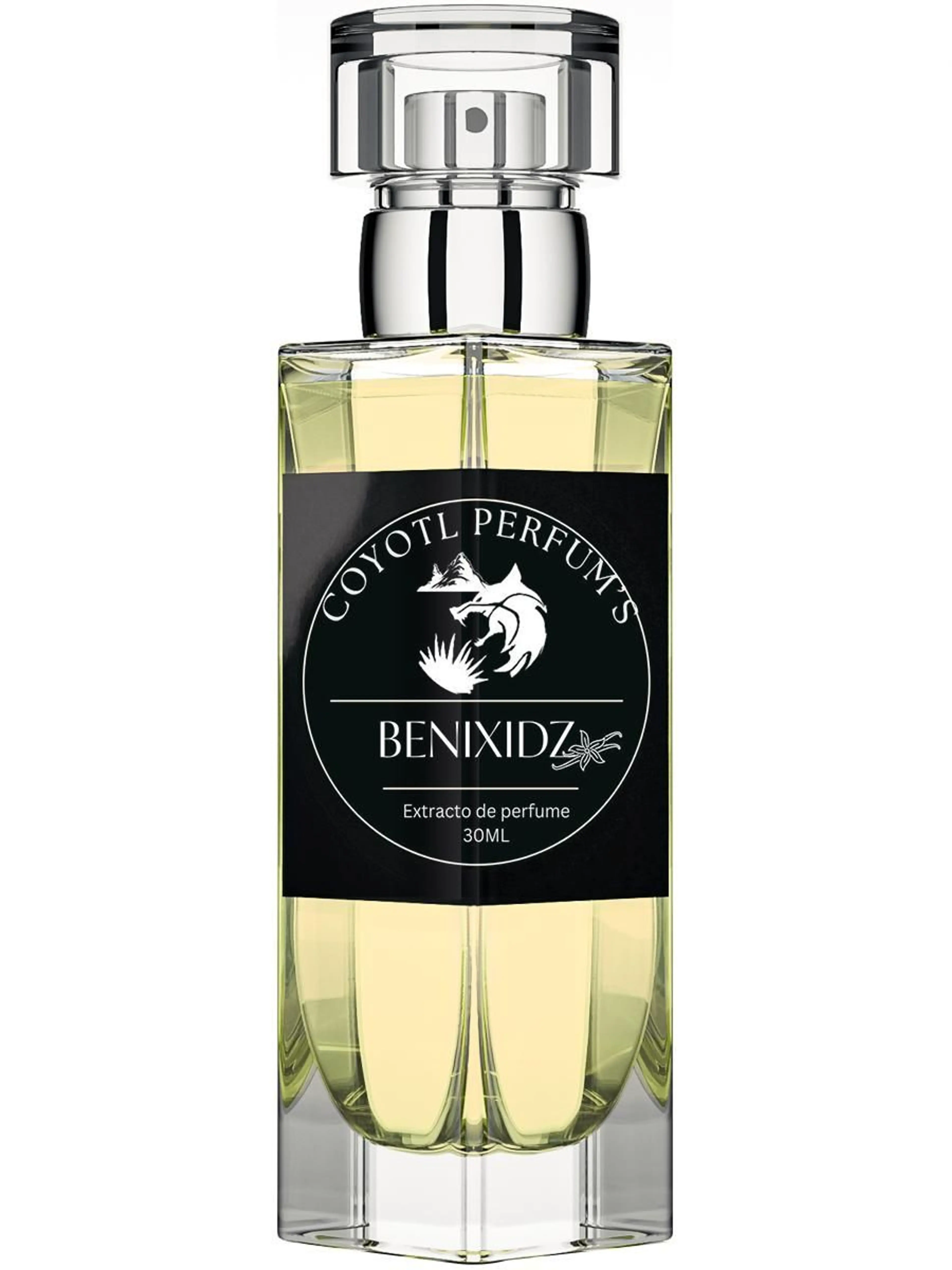 Benixidz