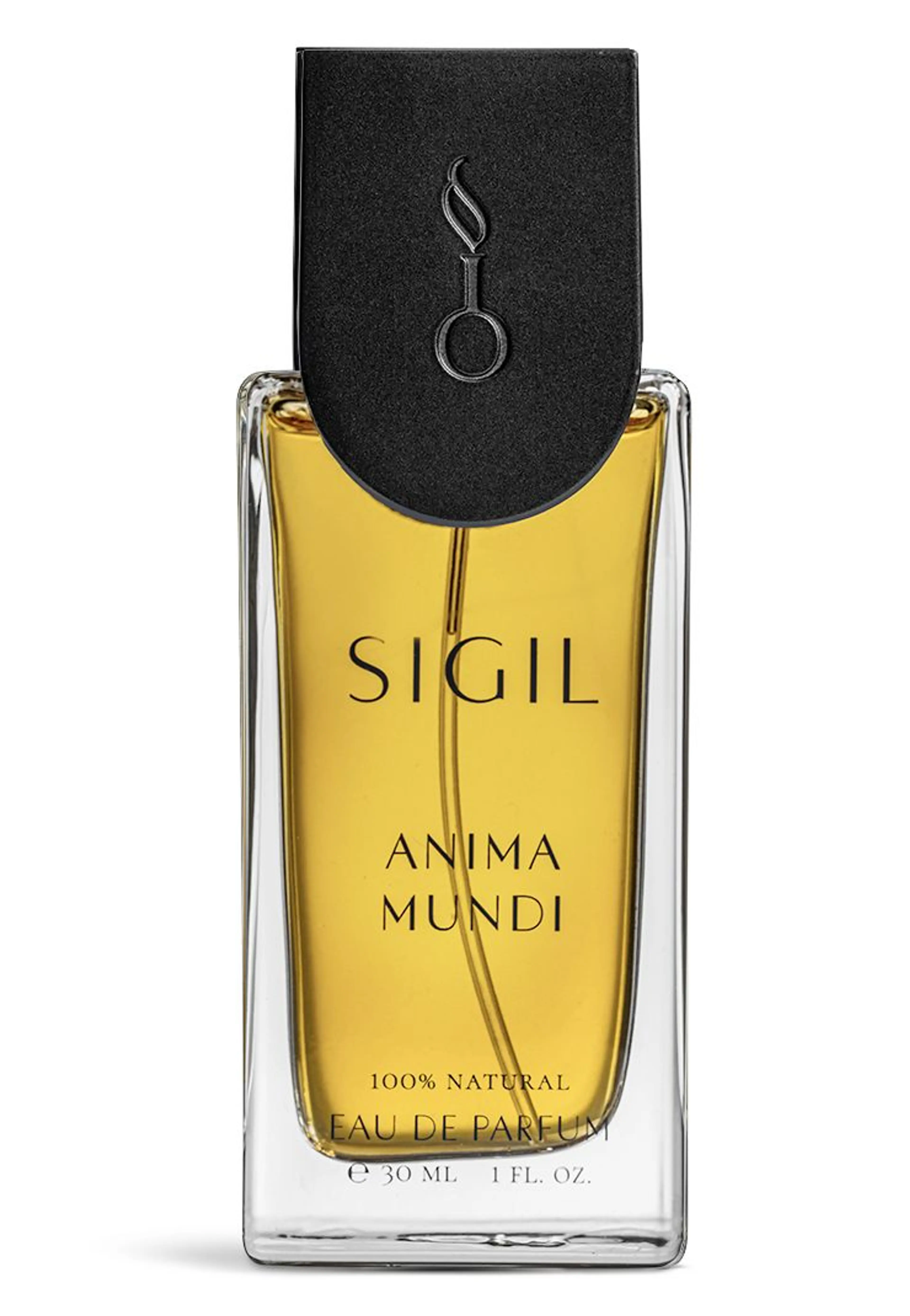 Anima Mundi