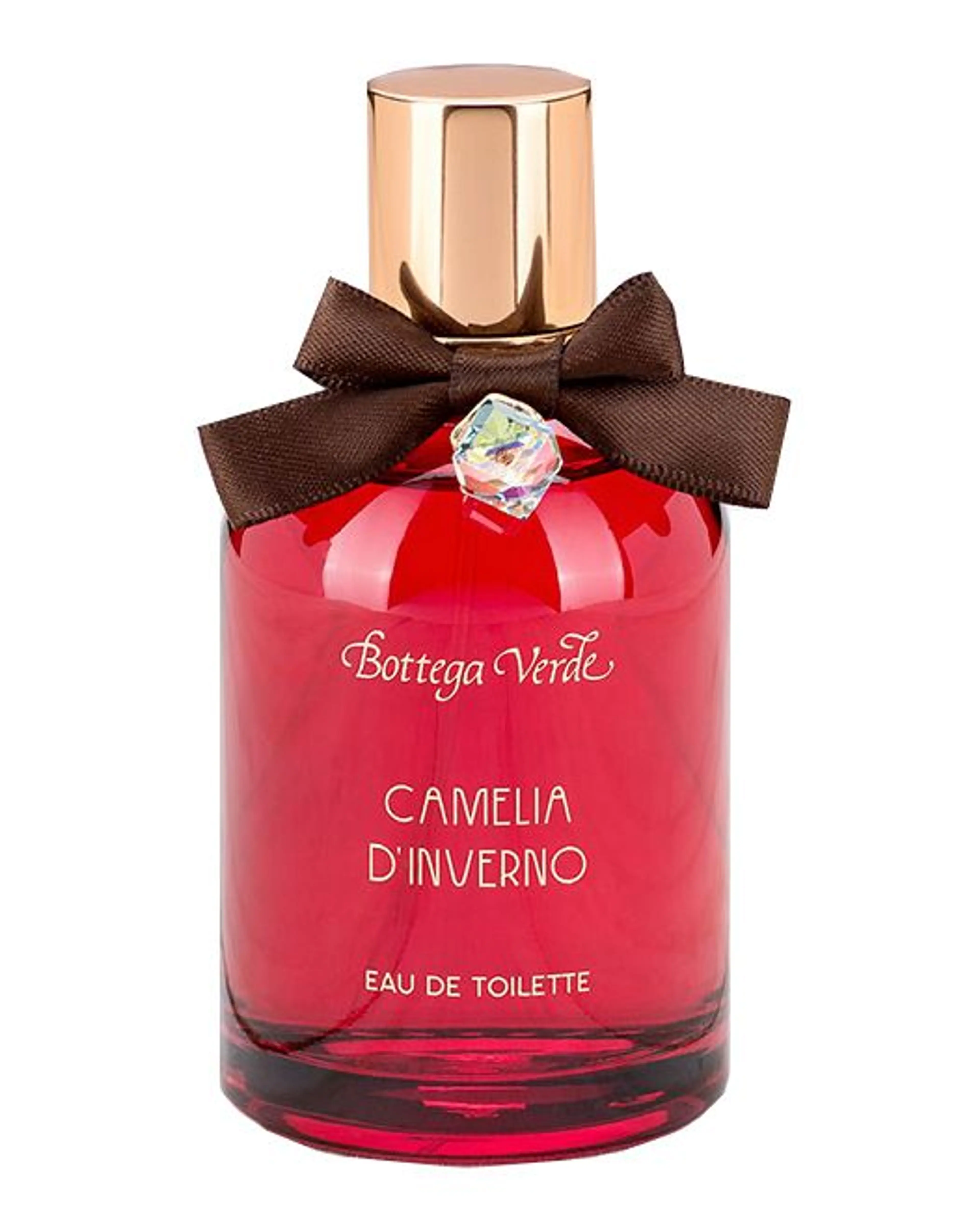 Camelia d'Inverno
