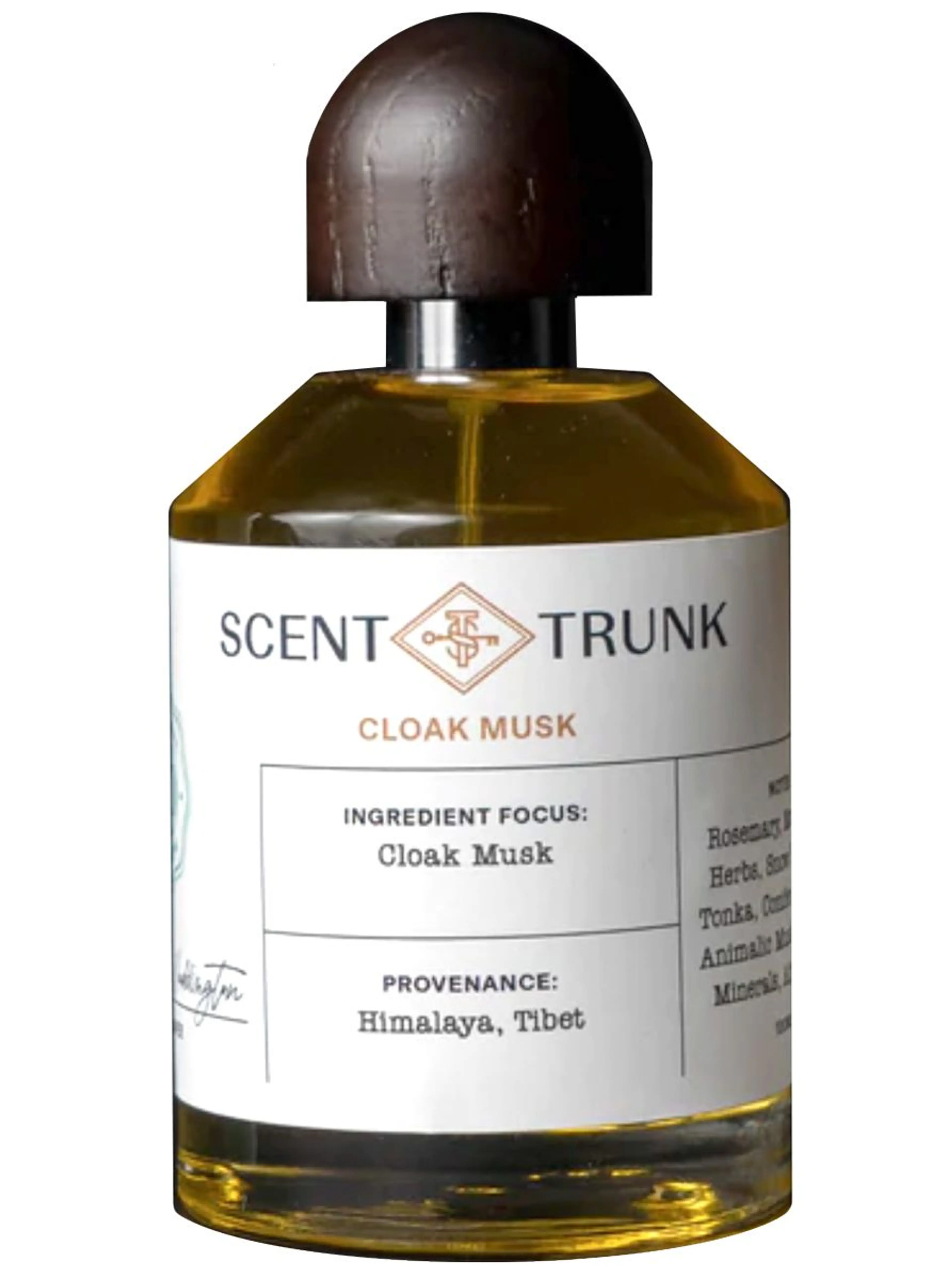 Cloak Musk