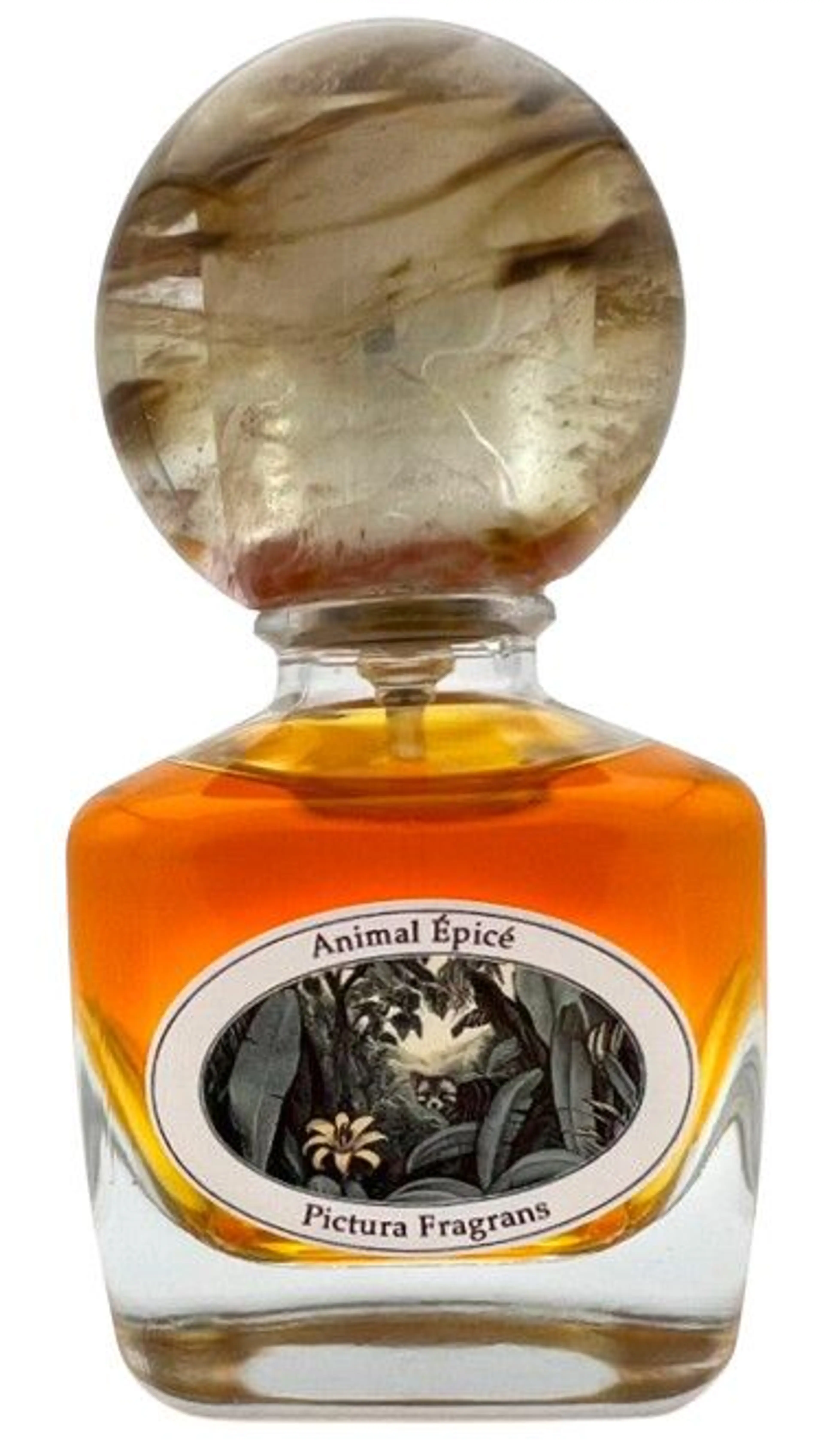 Animal Épicé