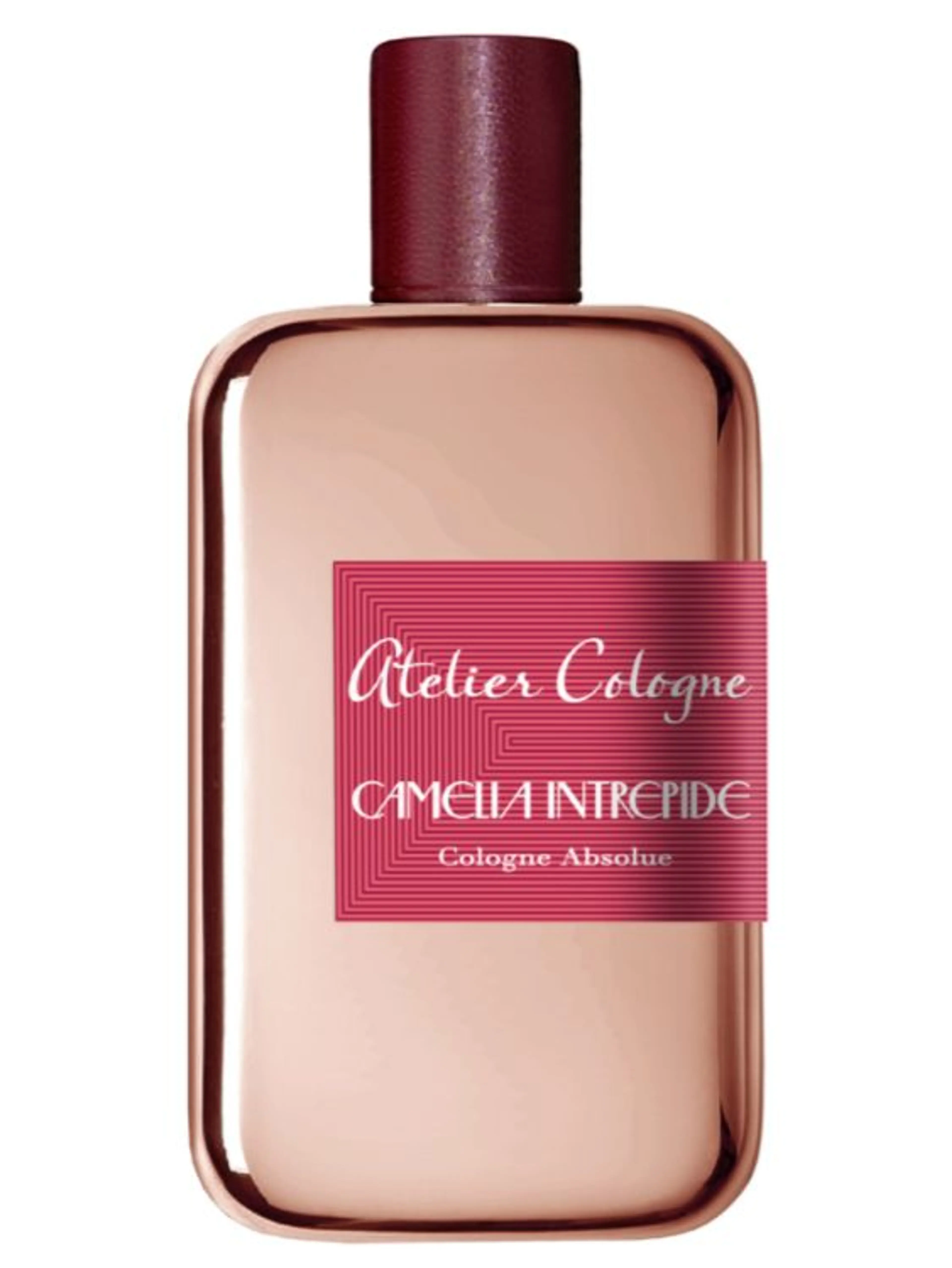 Camelia Intrepide