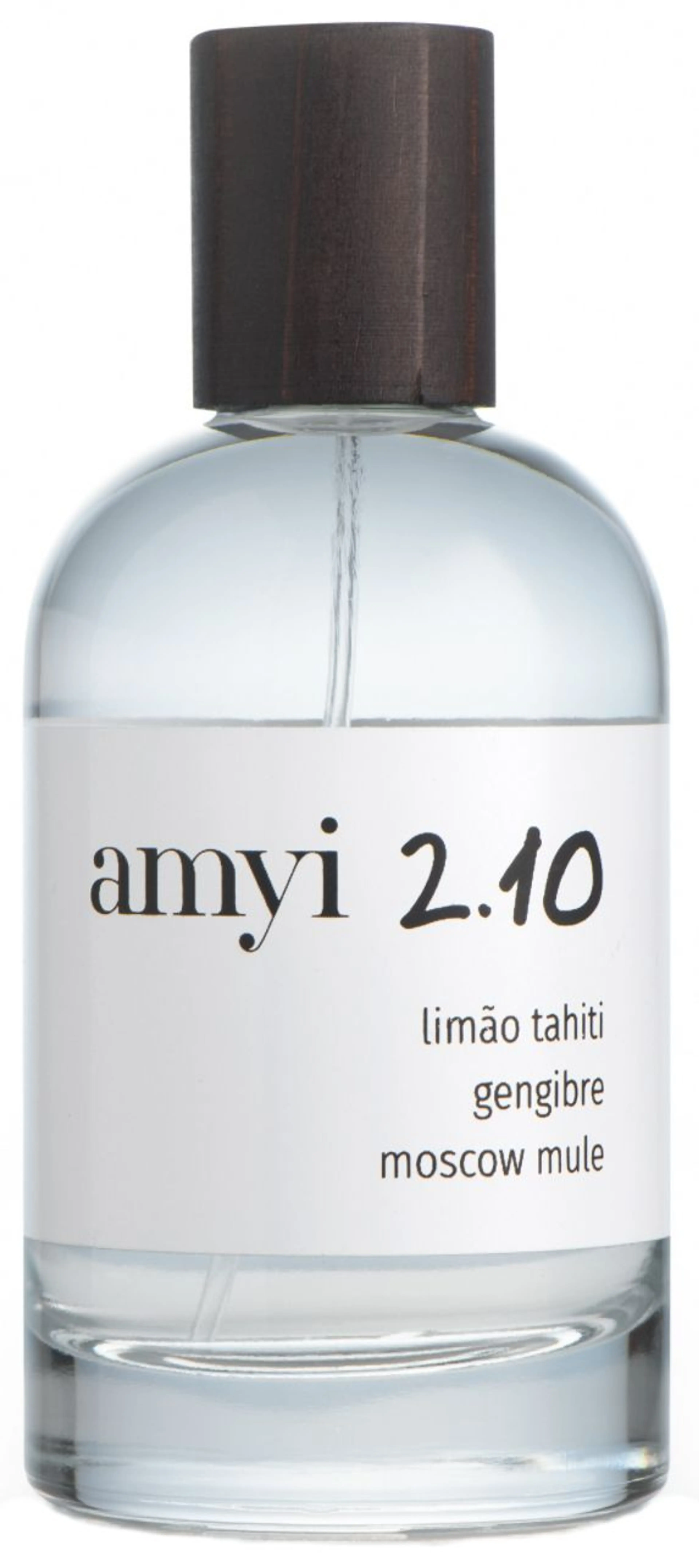 Amyi 2.10