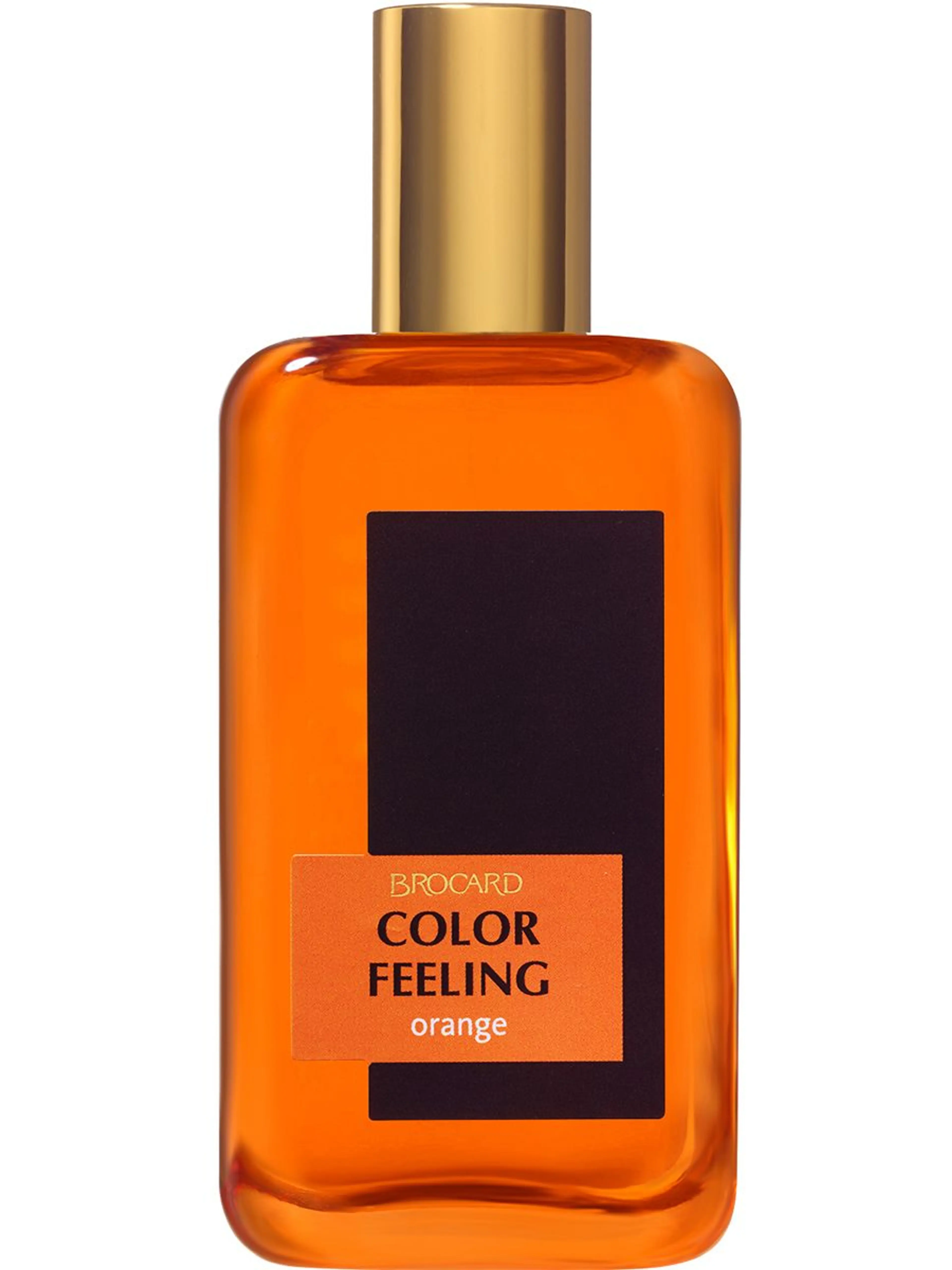 Color Feeling Orange
