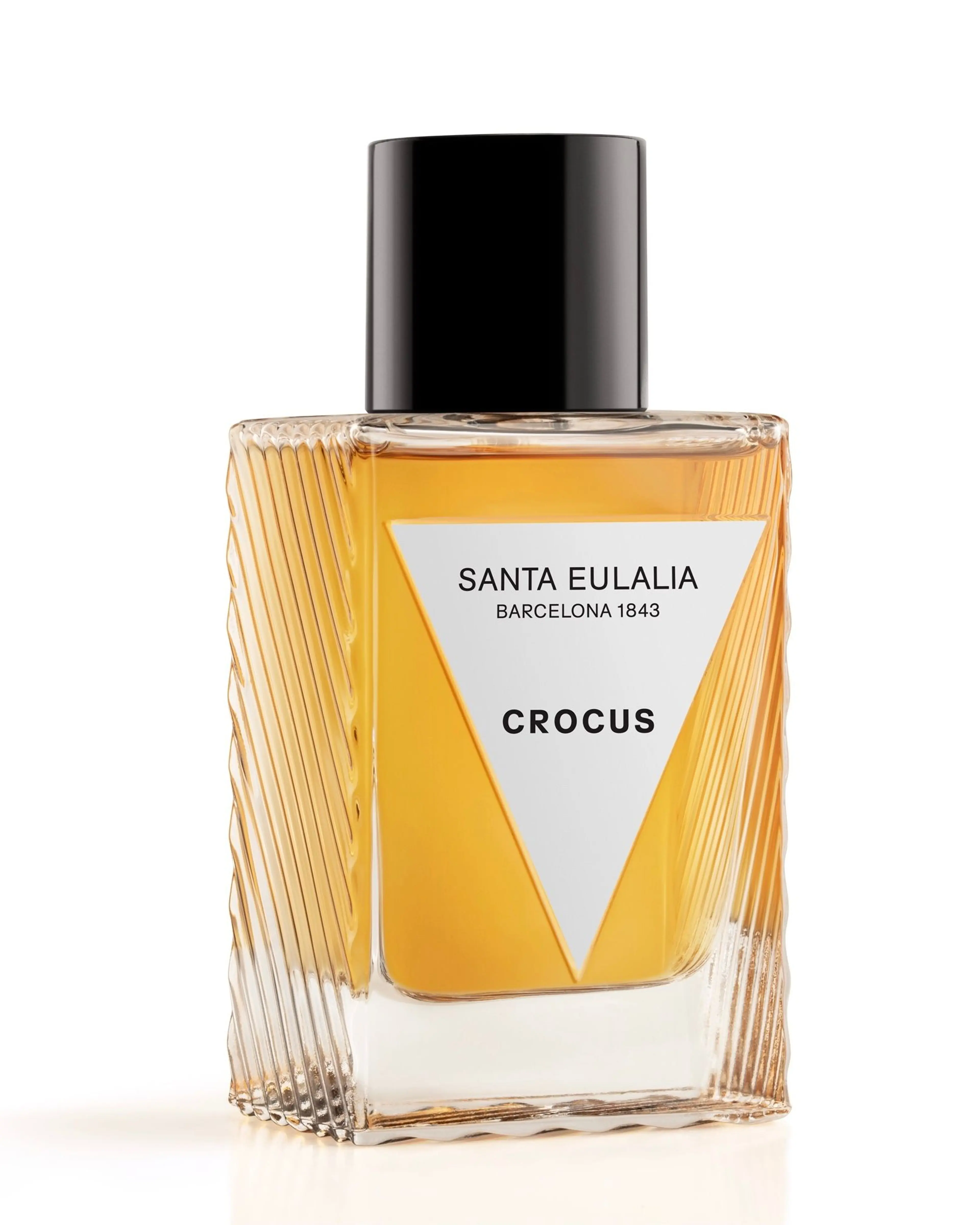 Crocus