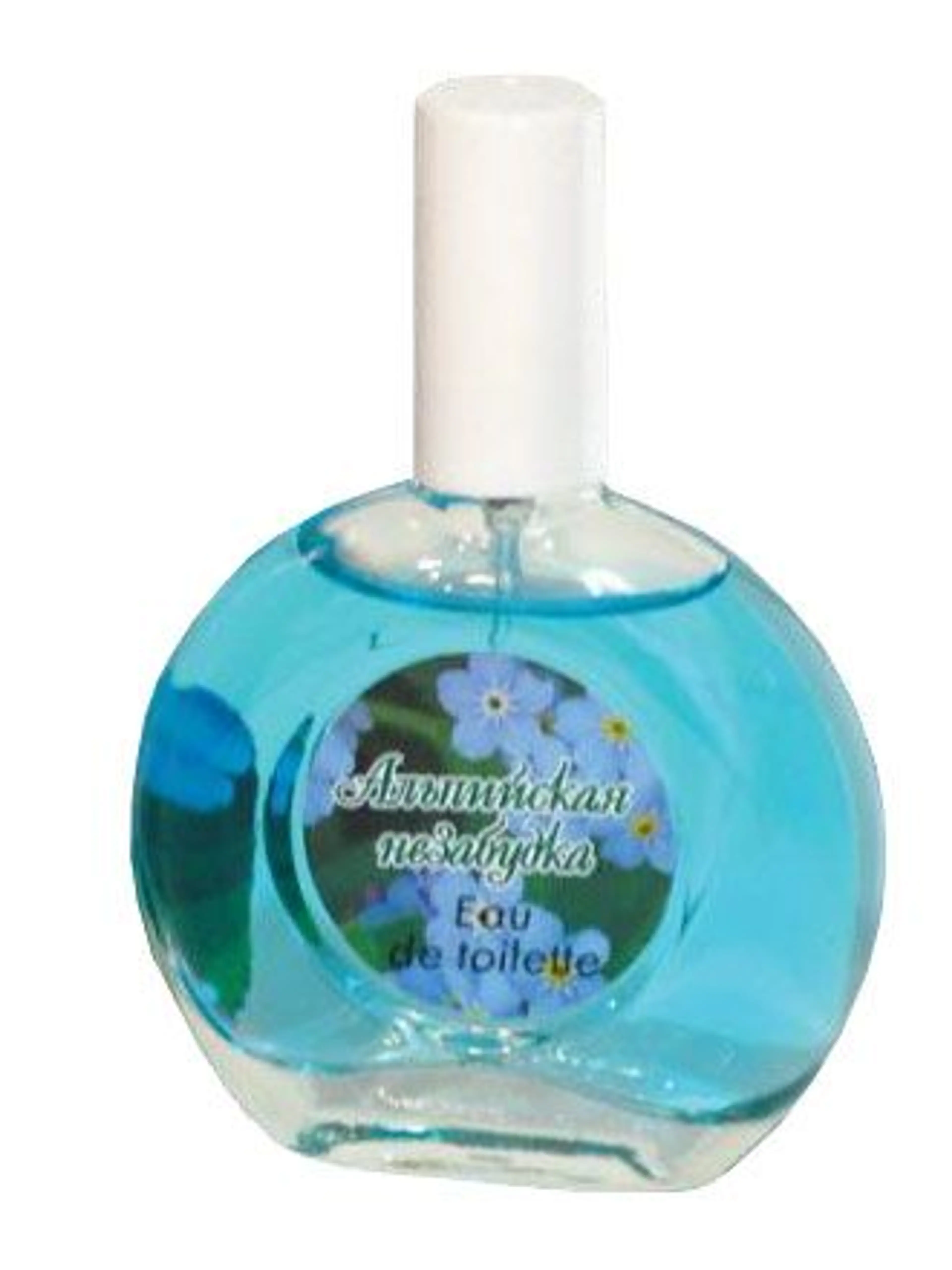 Alpine Forget-Me-Not