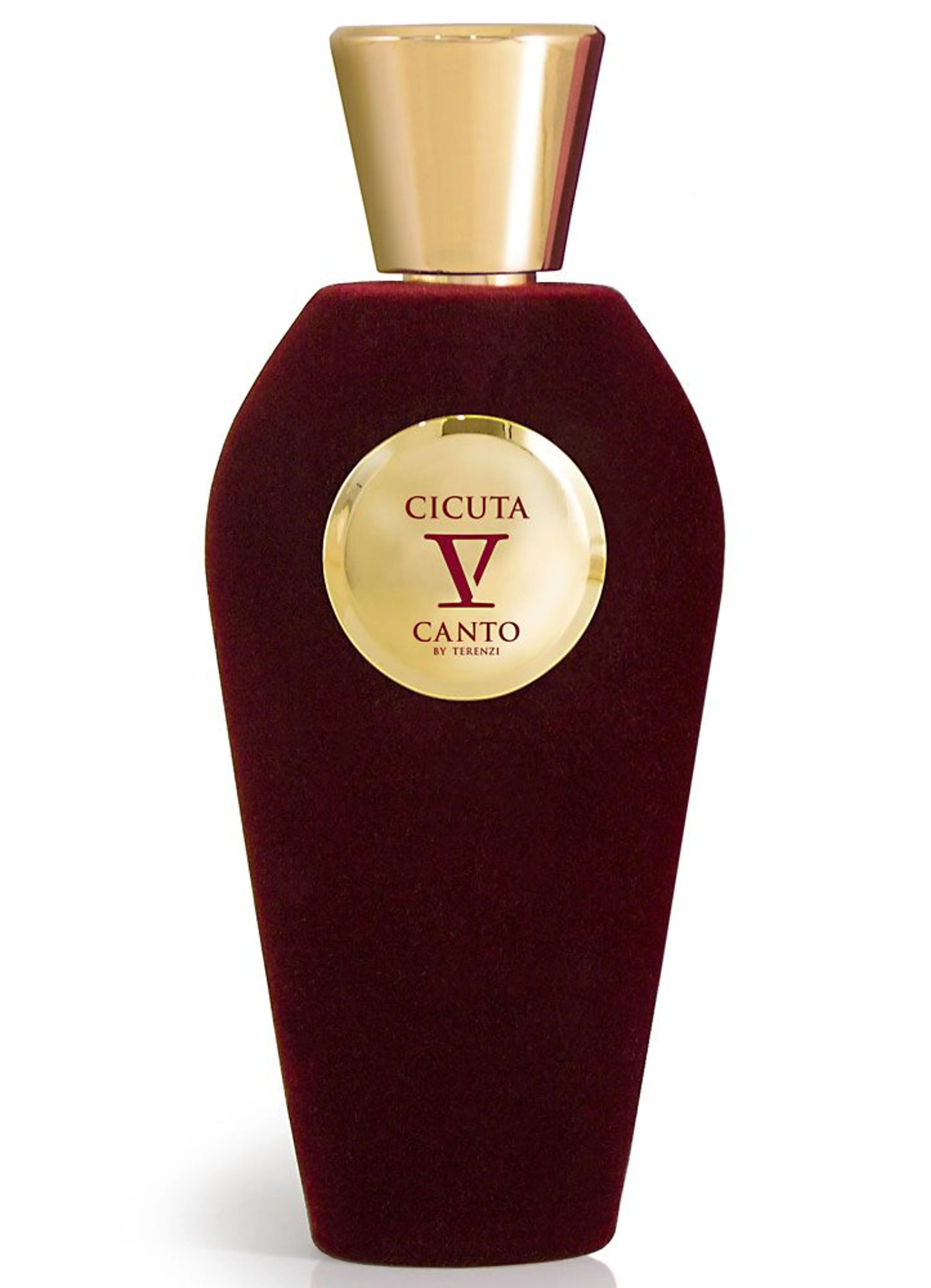 Cicuta