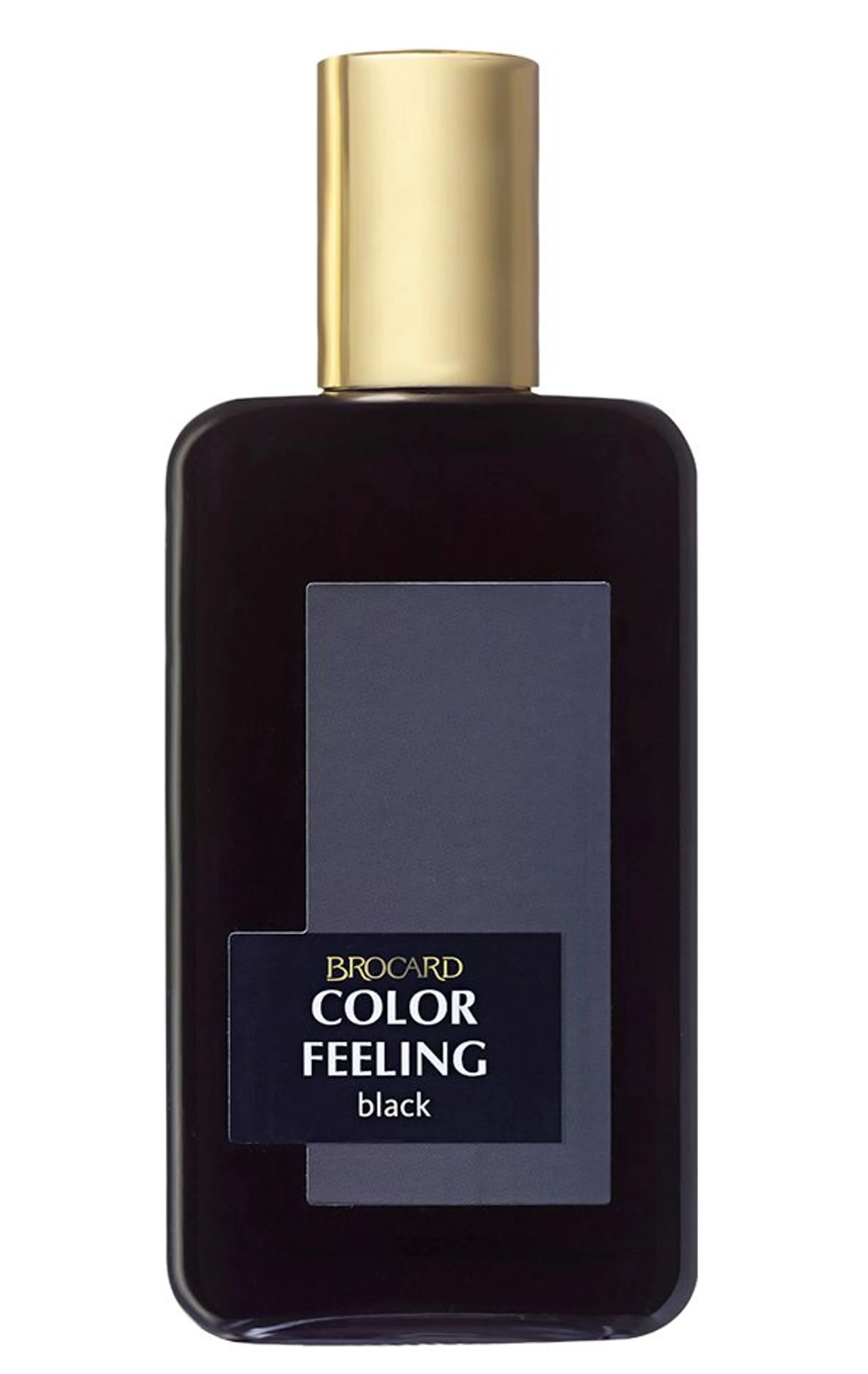 Color Feeling Black