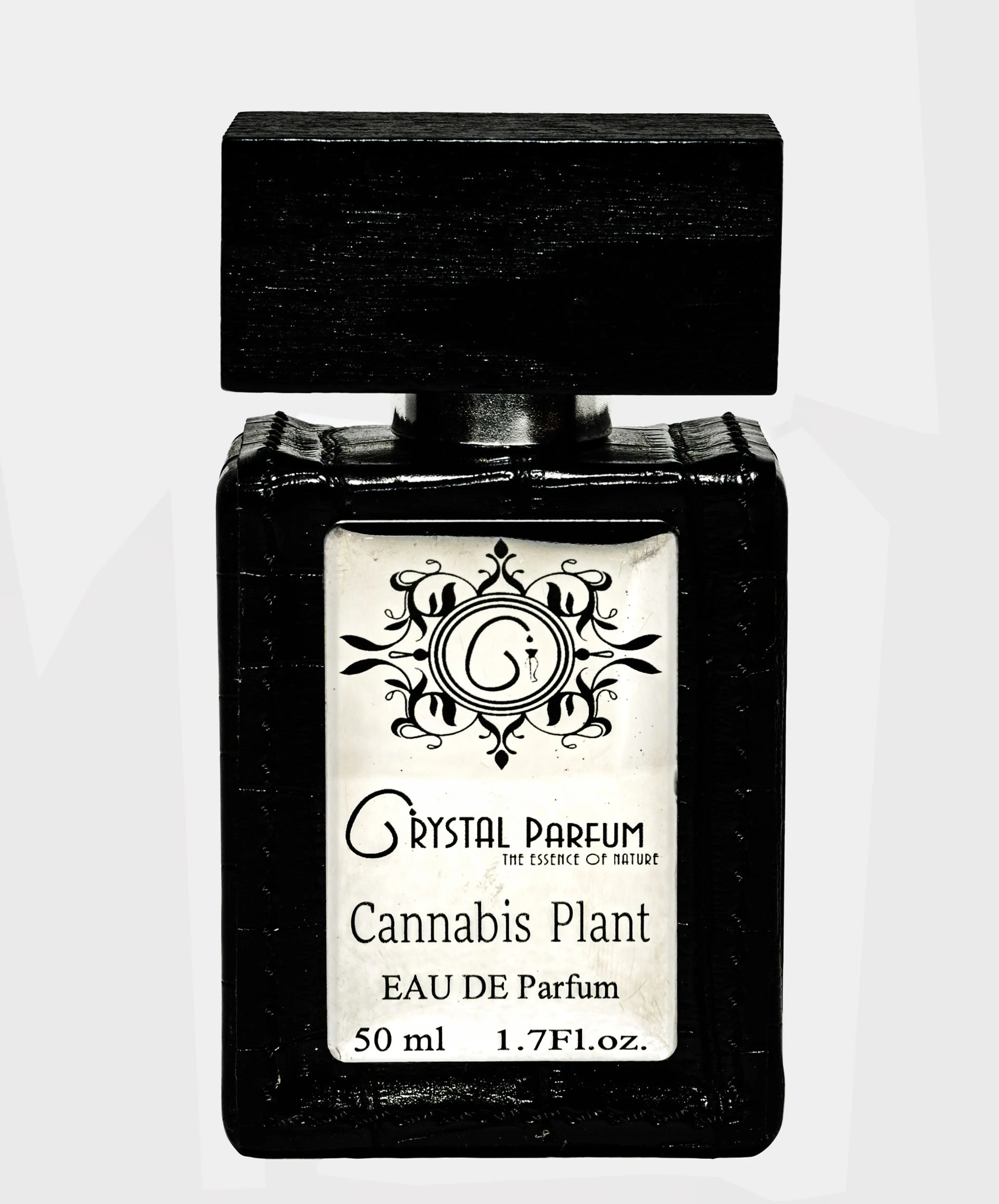 Cannabis Plant
