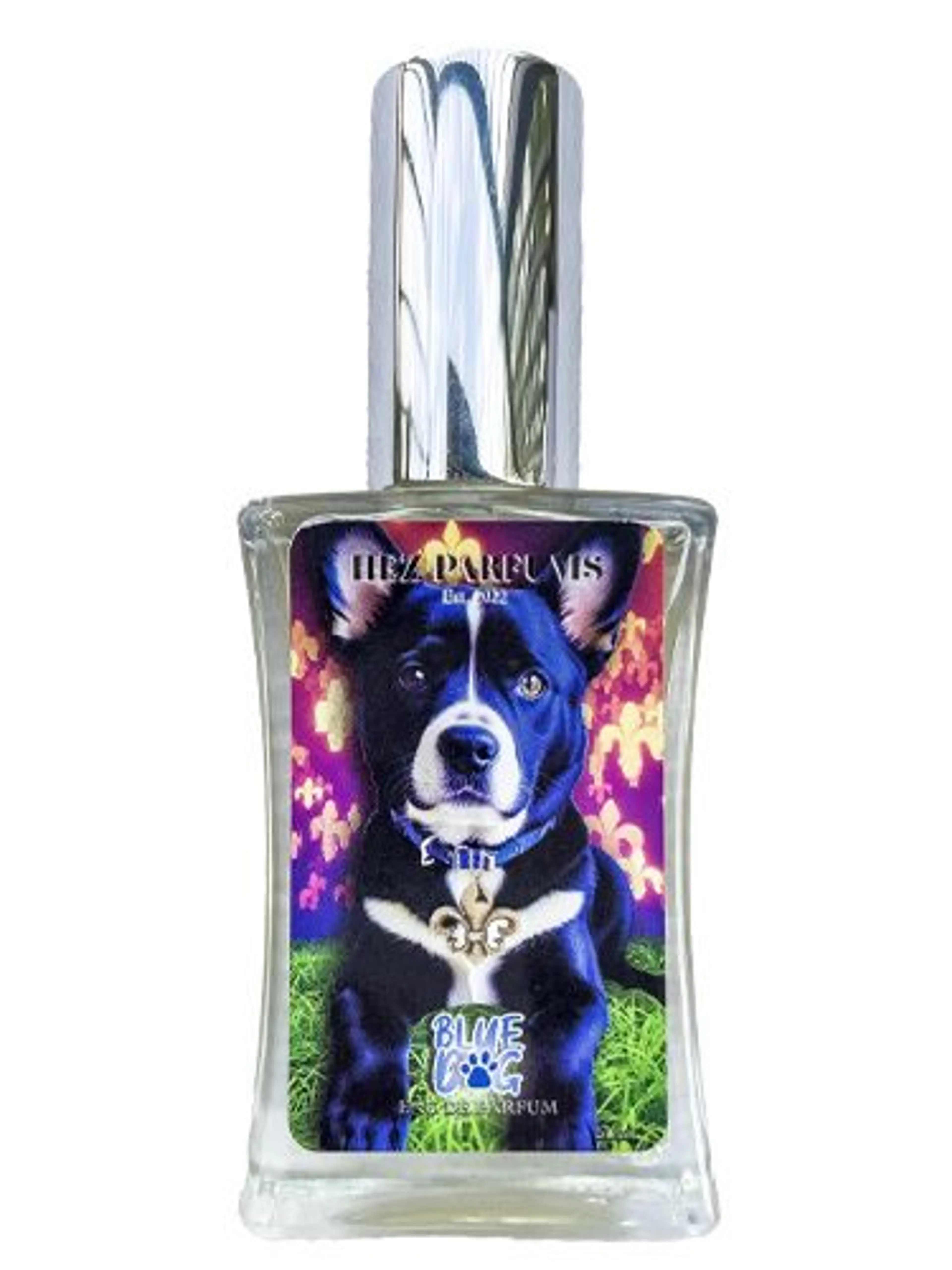 Blue Dog