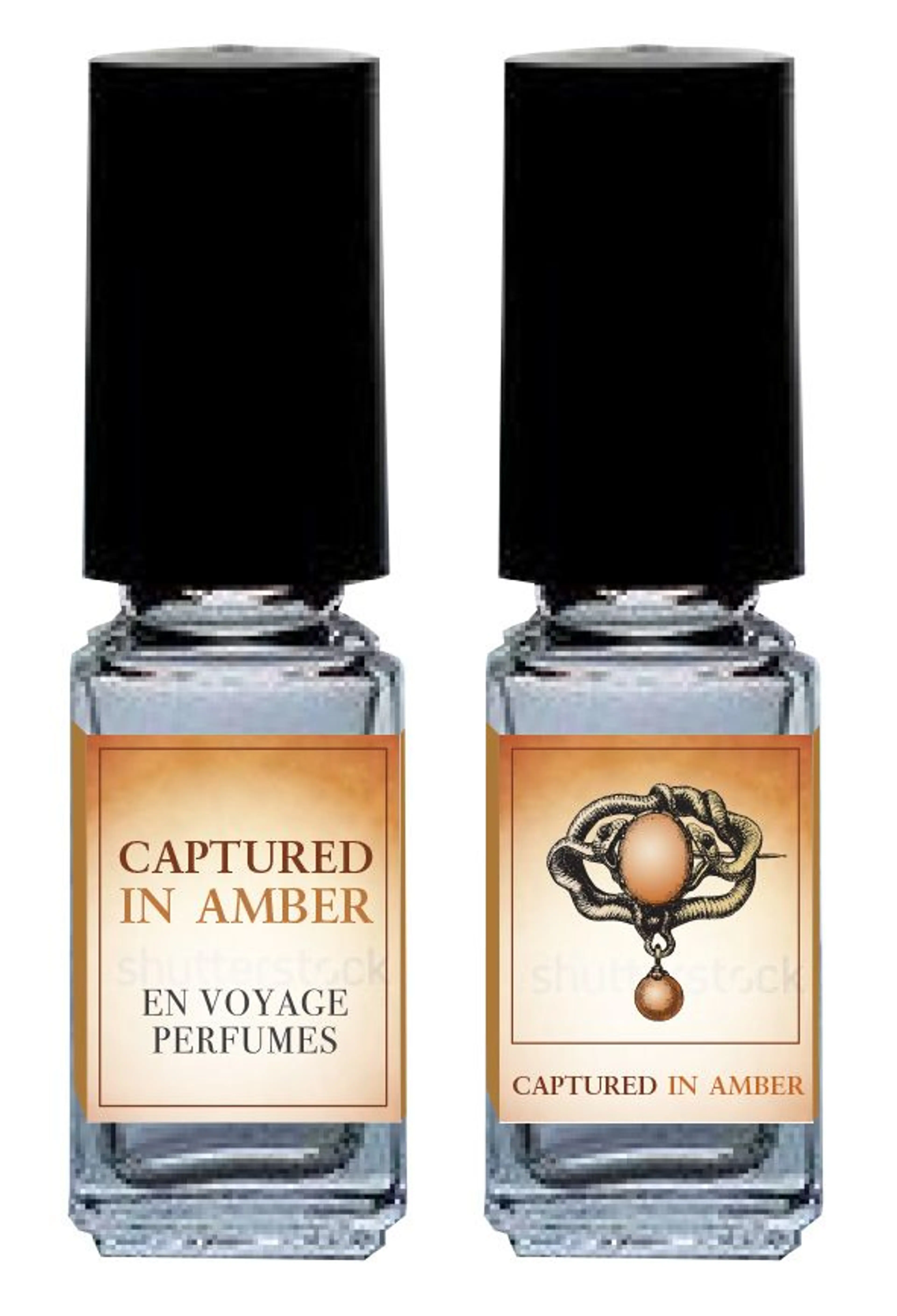 Captured in Amber
