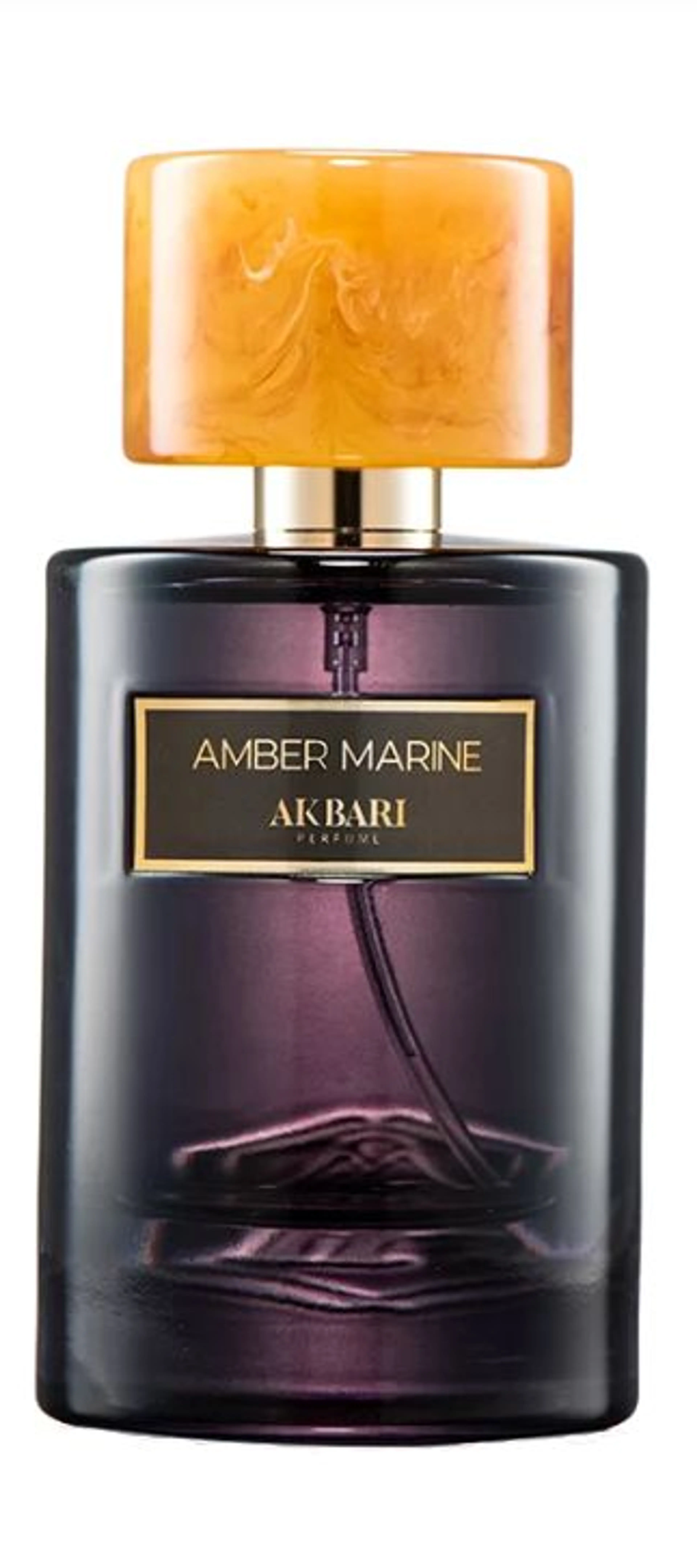 Amber Marine
